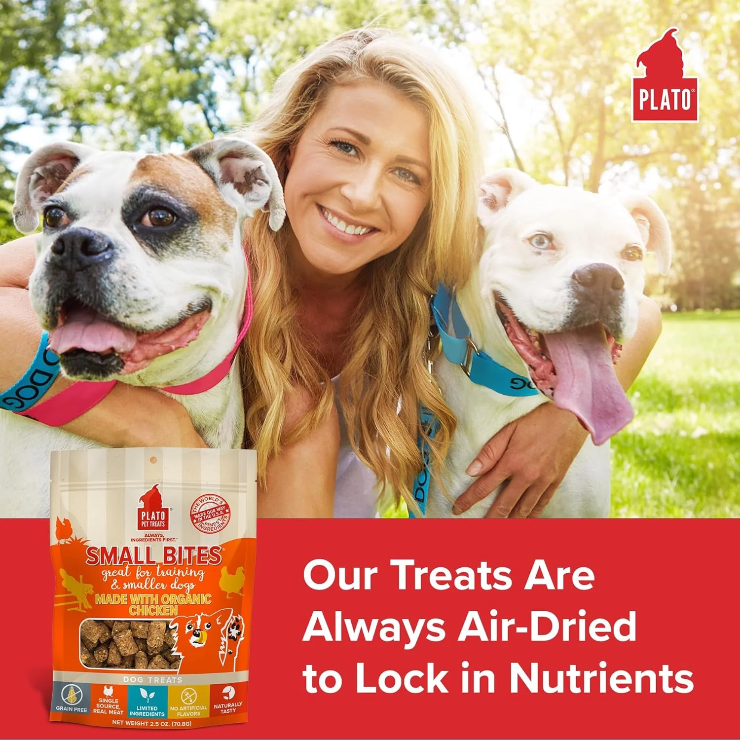 PLATO Small Bites Dog Treats, Natural Bite Sized Real Meat & Chicken Flavor, Grain Free & High in Protein, Air Dried Authentic Ingredients, 2 Calories Per Treat, Made in the USA - Image 3