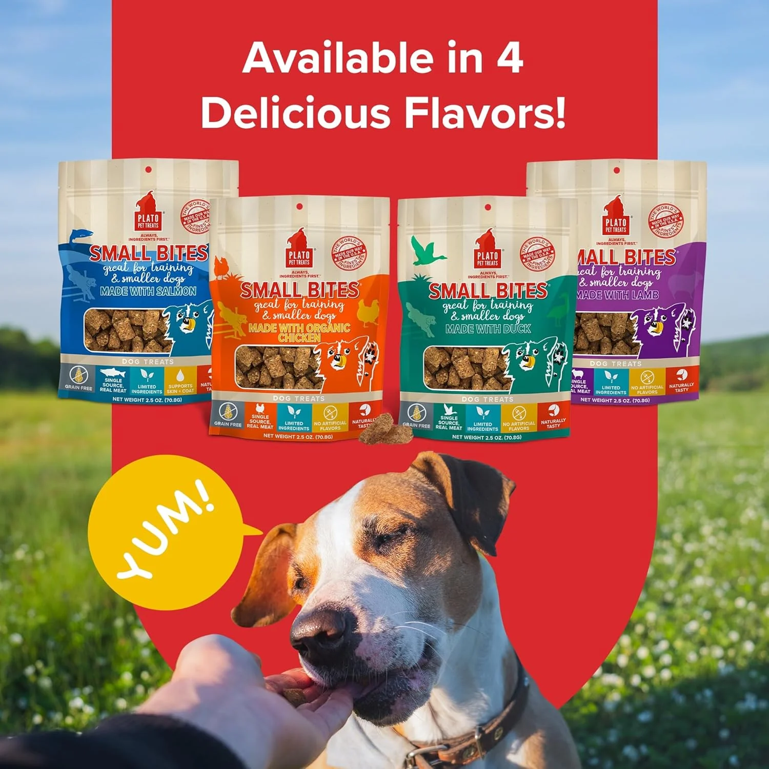 PLATO Small Bites Dog Treats, Natural Bite Sized Real Meat & Chicken Flavor, Grain Free & High in Protein, Air Dried Authentic Ingredients, 2 Calories Per Treat, Made in the USA - Image 6