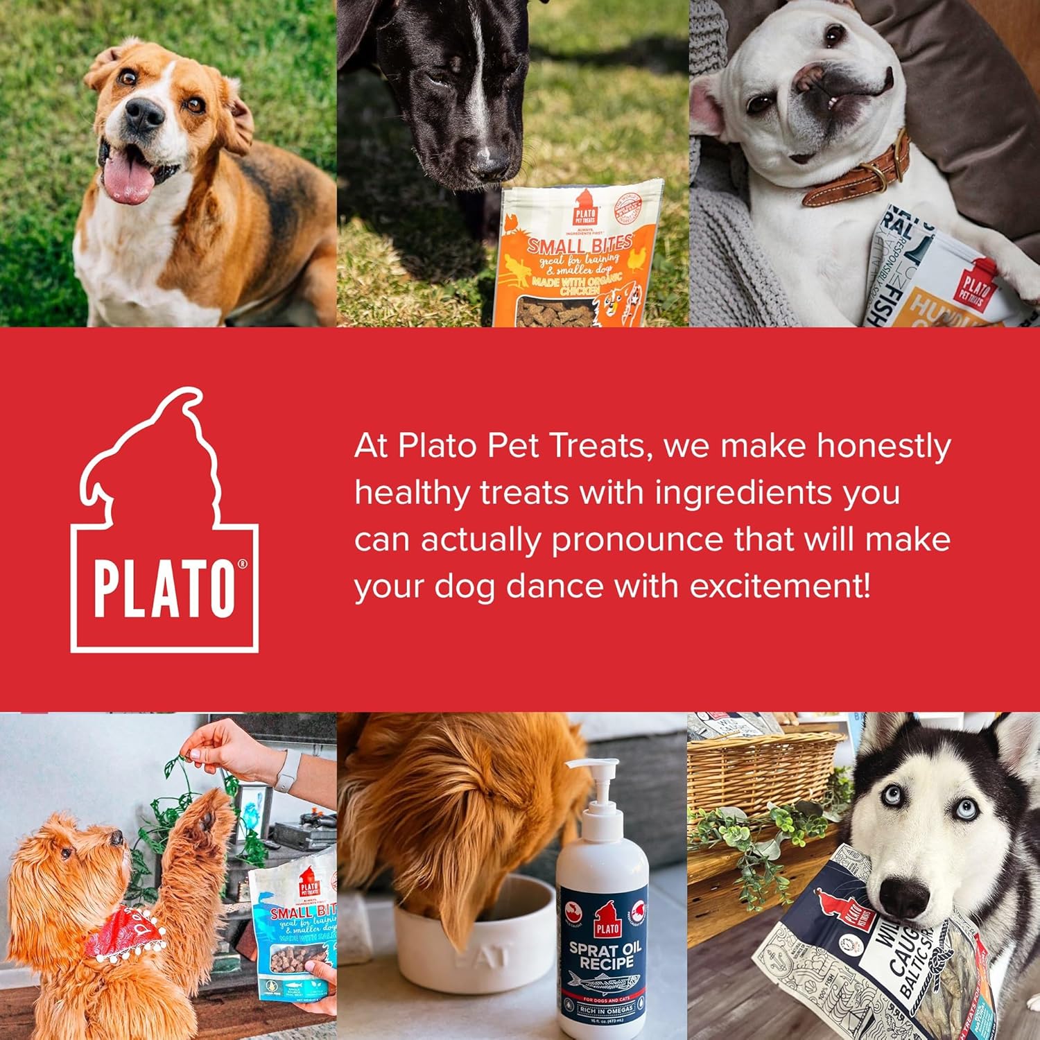 PLATO Small Bites Dog Treats, Natural Bite Sized Real Meat & Chicken Flavor, Grain Free & High in Protein, Air Dried Authentic Ingredients, 2 Calories Per Treat, Made in the USA - Image 8