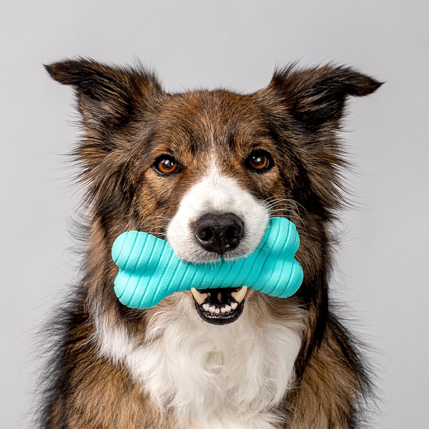 Playology Dual Layer Bone , All Natural Peanut Butter Scented - Image 3