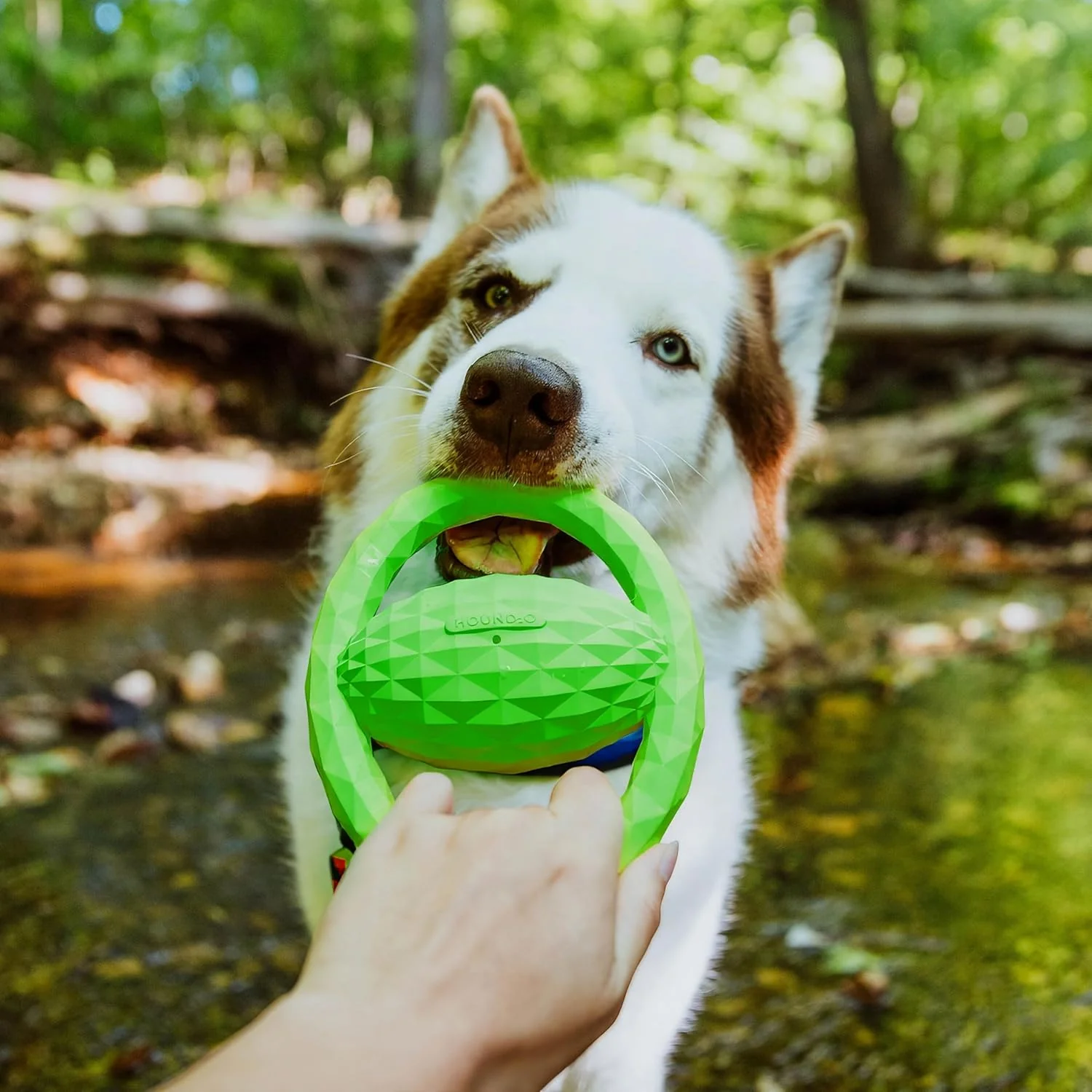 Playology Hound2O Outdoor Dog Toys | Interactive Squeaky Ball - Tug of War Dog Toy | Bright Chew Toy Floats for Water Adventures - Image 3