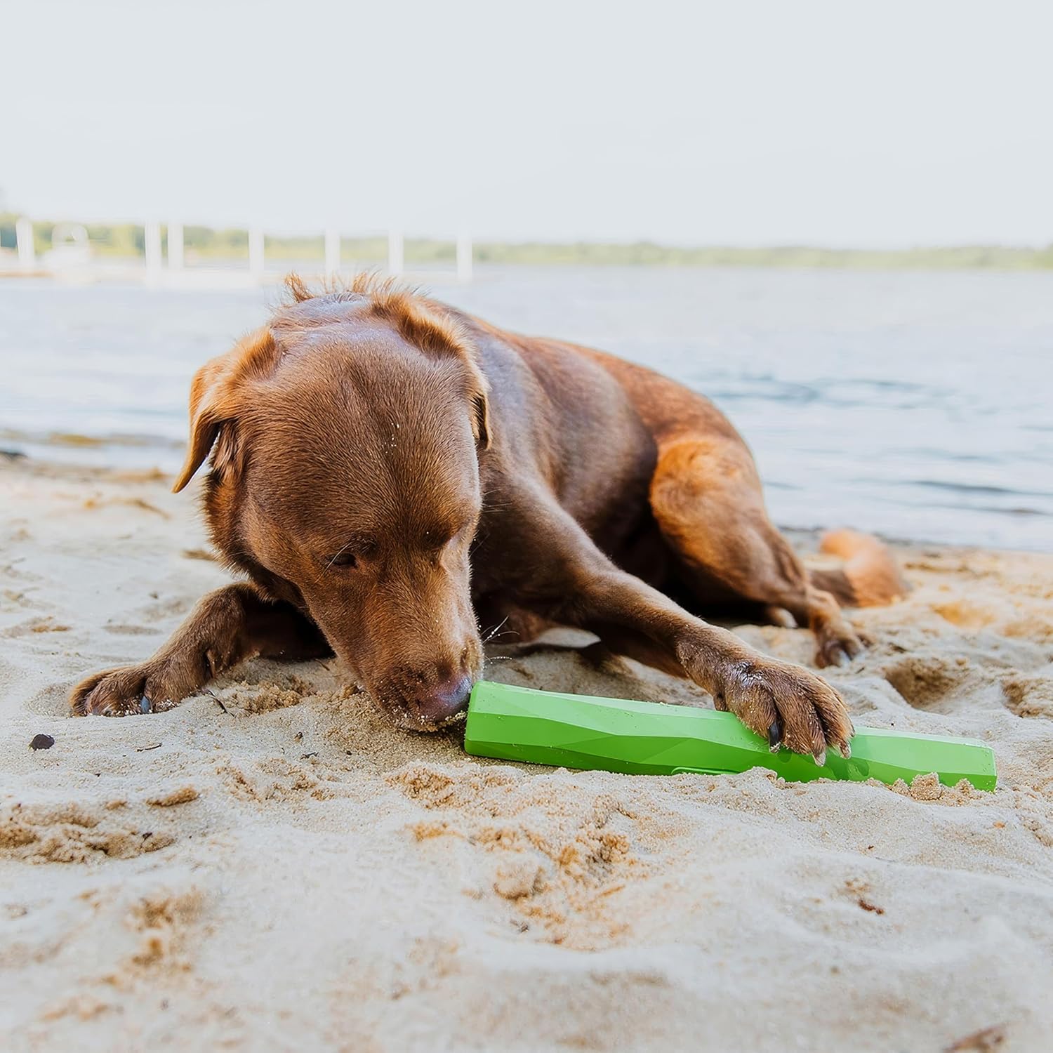 Playology Hound2O Outdoor Dog Toys | Treater Toy Fetch Stick for Dogs | Bright Toy Chew Stick | Easy to Clean, & Made from Non-Toxic Rubber Materials - Image 3