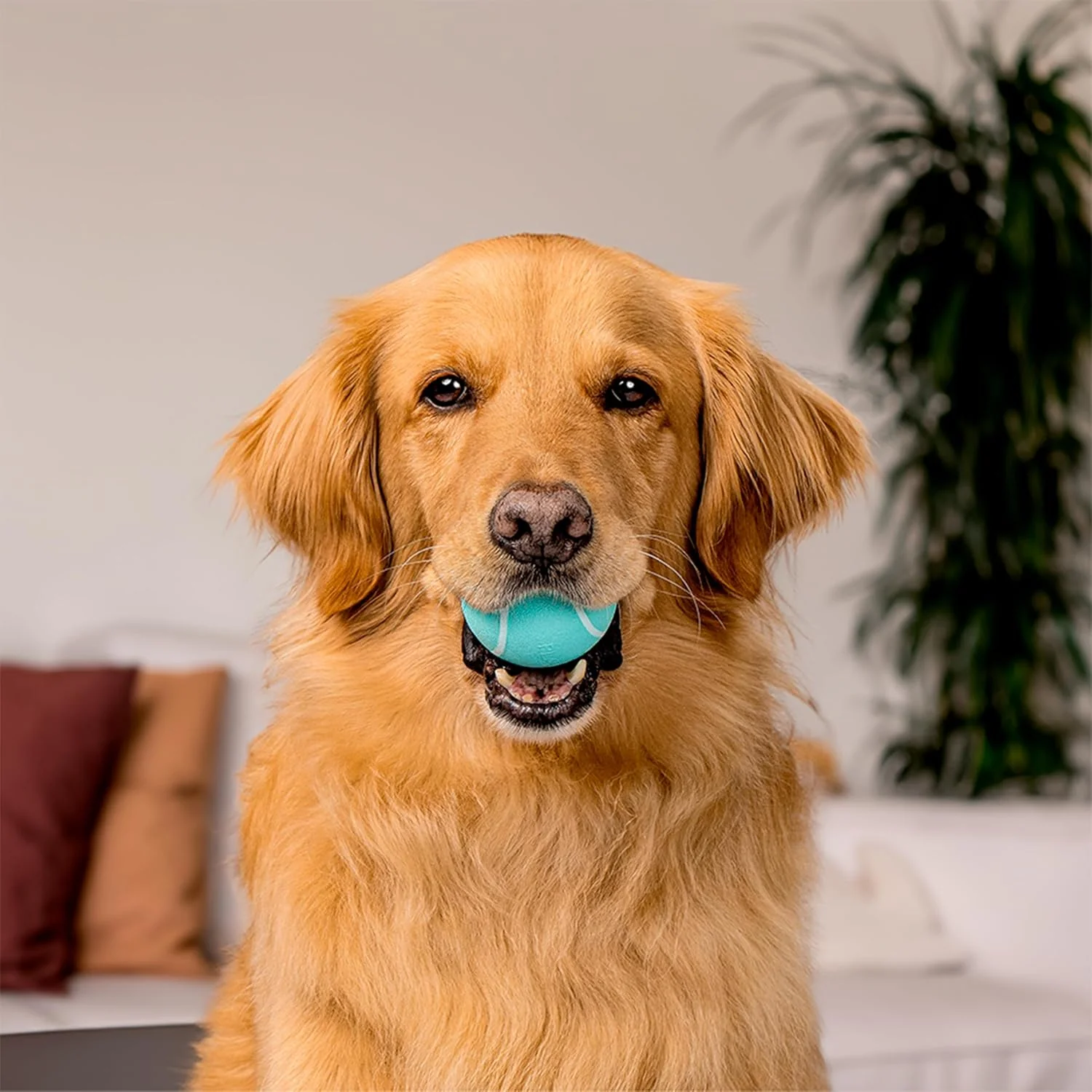 Playology Squeaky Chew Ball for Dogs , All-Natural Peanut Butter Scented Toy for Dogs - Image 3