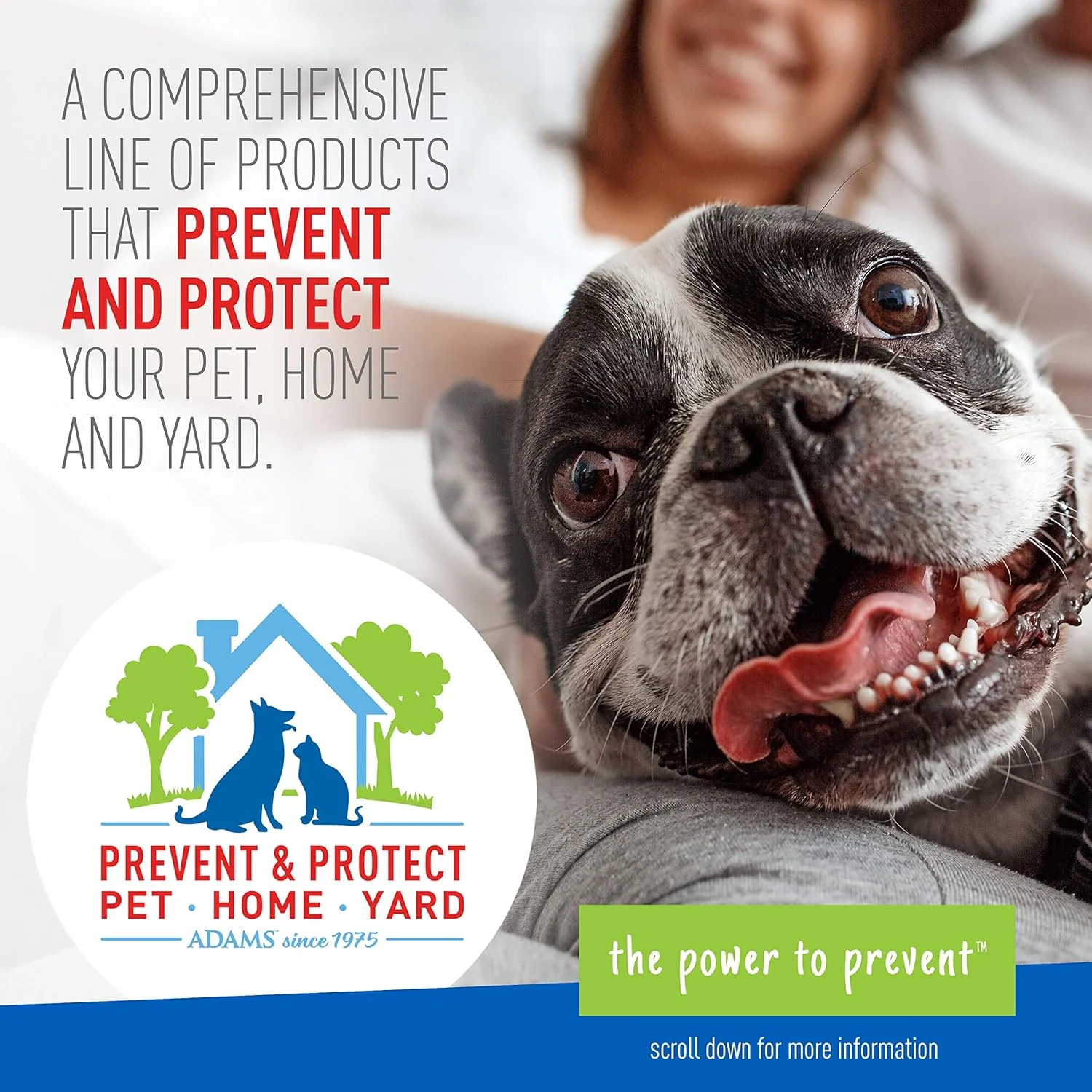Plus Flea & Tick Prevention Spot On for Dogs ; 12 Weeks & Older, 3-Month Supply, Kills Fleas, Flea Eggs, Flea Larvae & Brown Dog & Deer Ticks, Kills & Repels Mosquitoes for 30 Days - Image 7