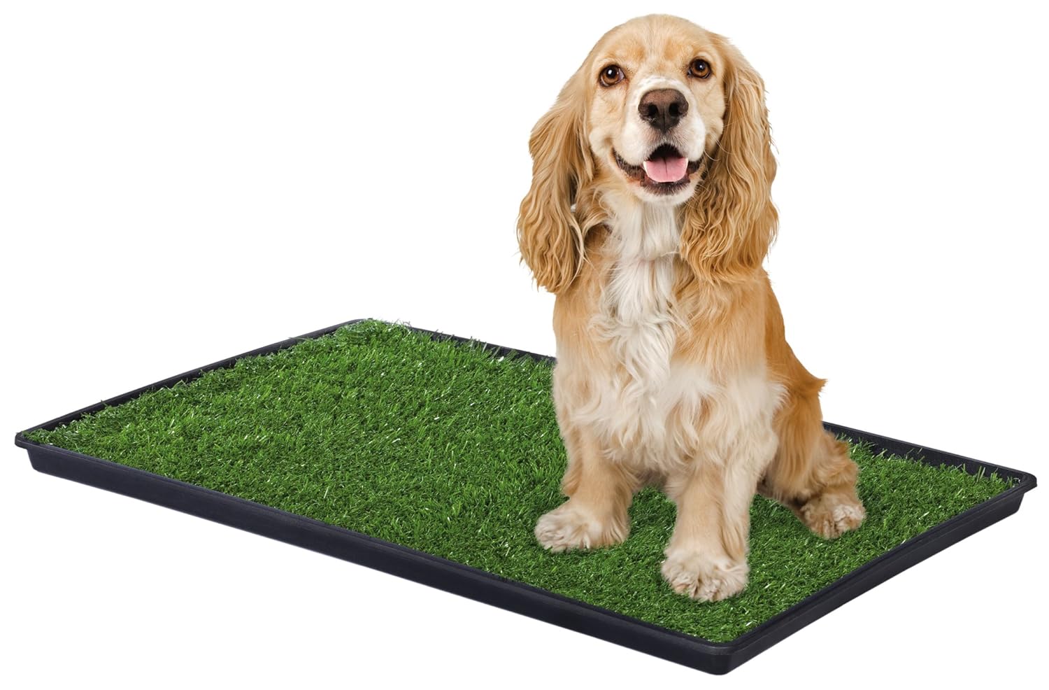 Prevue Pet Products Tinkle Turf Indoor Portable Pee Turf Patch - Medium Dogs - Image 5