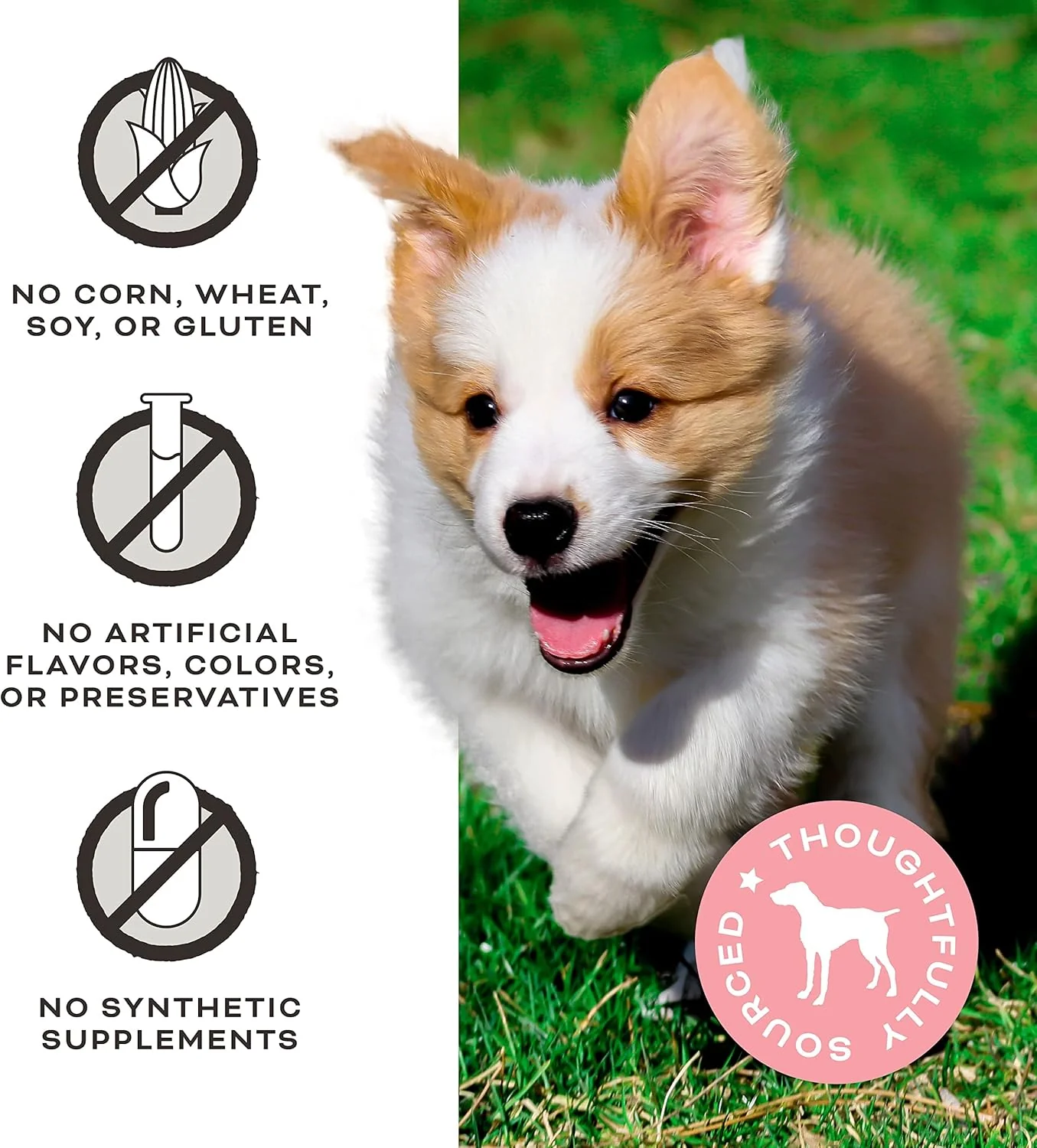 Primal Beef Jerky Dog Treats Made with Beef Bone Broth, Give Pieces a Chance, Training Treat for Dogs, 4 oz - Image 4