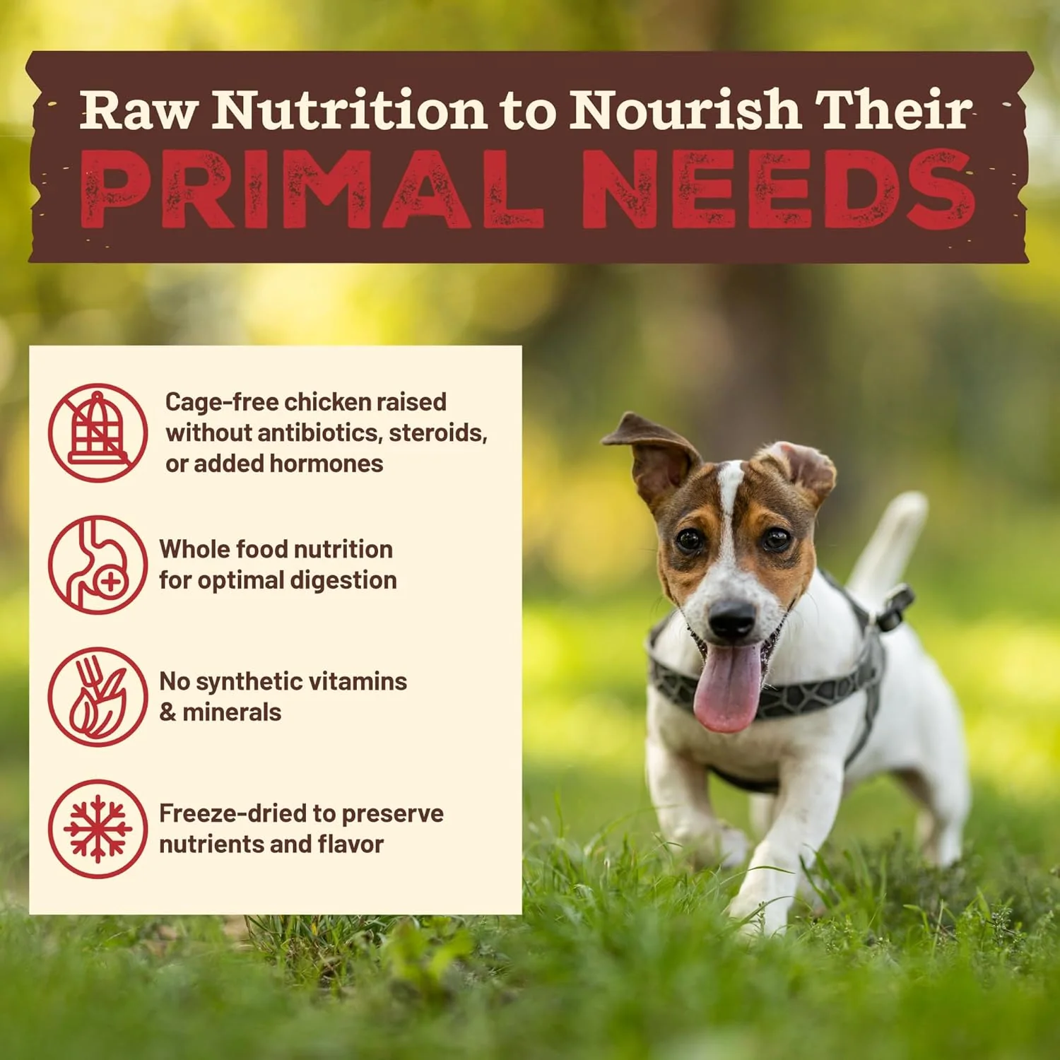 Primal Kibble in The Raw, Freeze Dried Dog Food, Small Breed Recipe, Scoop & Serve, Made with Raw Protein, Whole Ingredient Nutrition, Crafted in The USA, Dry Dog Food - Image 4