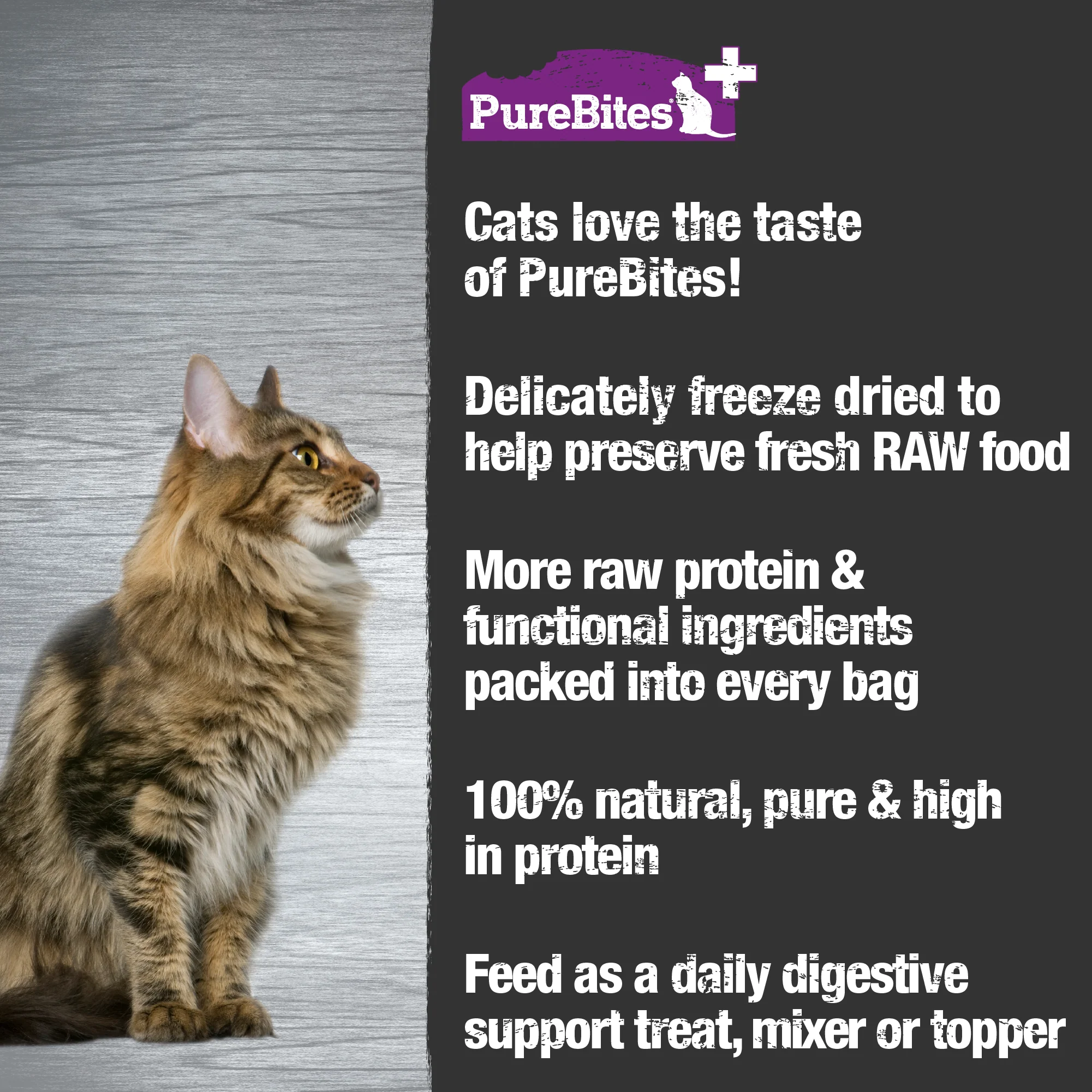 PureBites+ Freeze Dried Cat Treats | Gut & Digestion | 5 Ingredients | Made in USA - Image 4