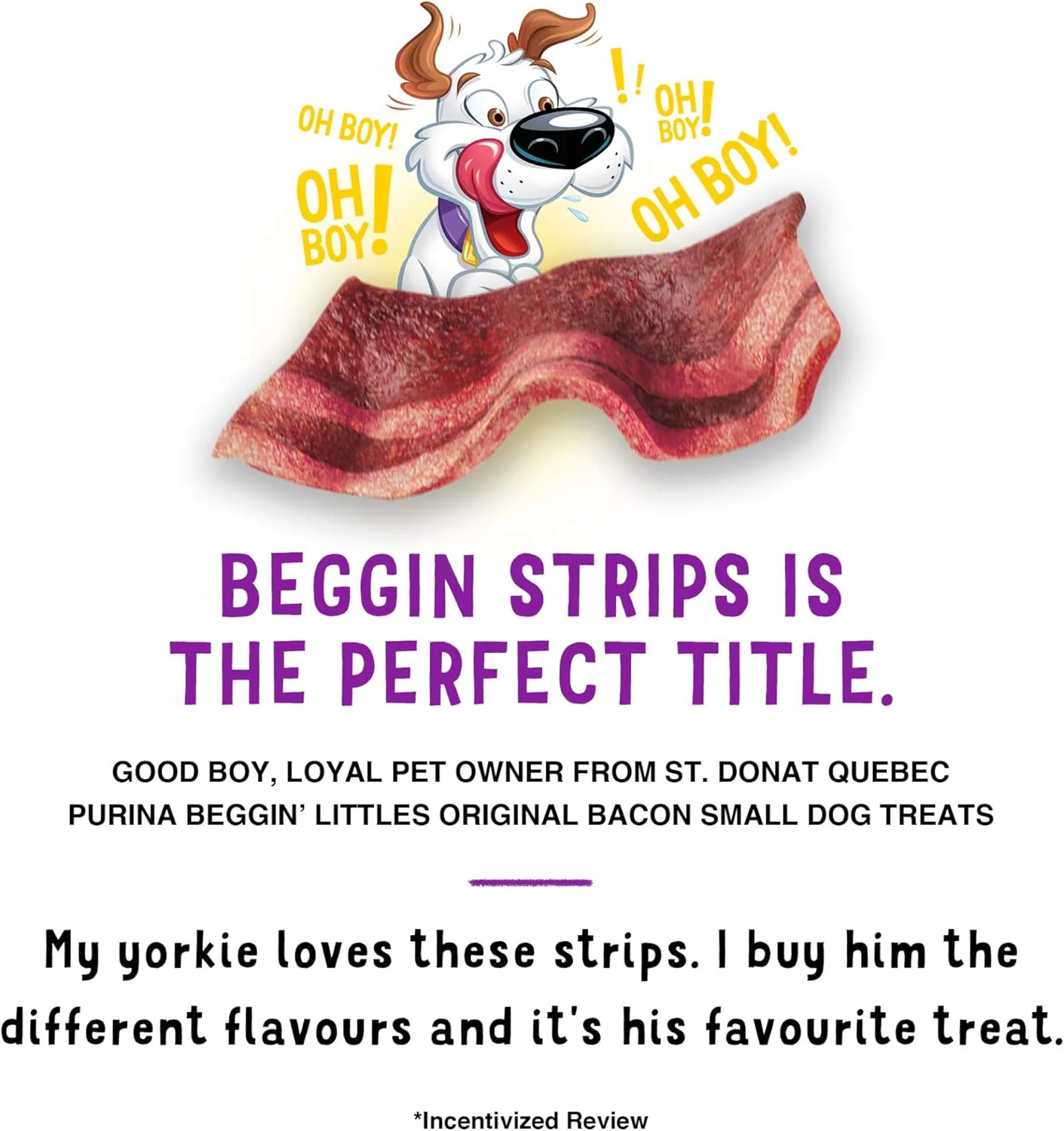 Purina Beggin' Strips With Real Meat Dog Treats, Thick Cut Hickory Smoke Flavor - 40 oz. Pouch - Image 7