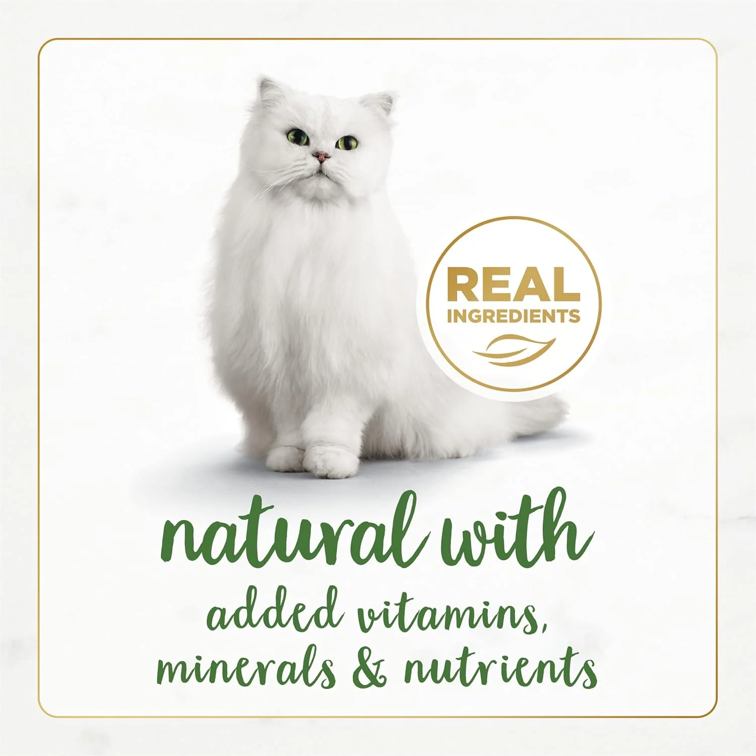 Purina Fancy Feast Grain Free Wet Cat Food Pate Variety Pack Gourmet Naturals–Beef, Chicken, Salmon, Trout and Tuna - (2 Packs of 12) 3 oz. Cans - Image 4