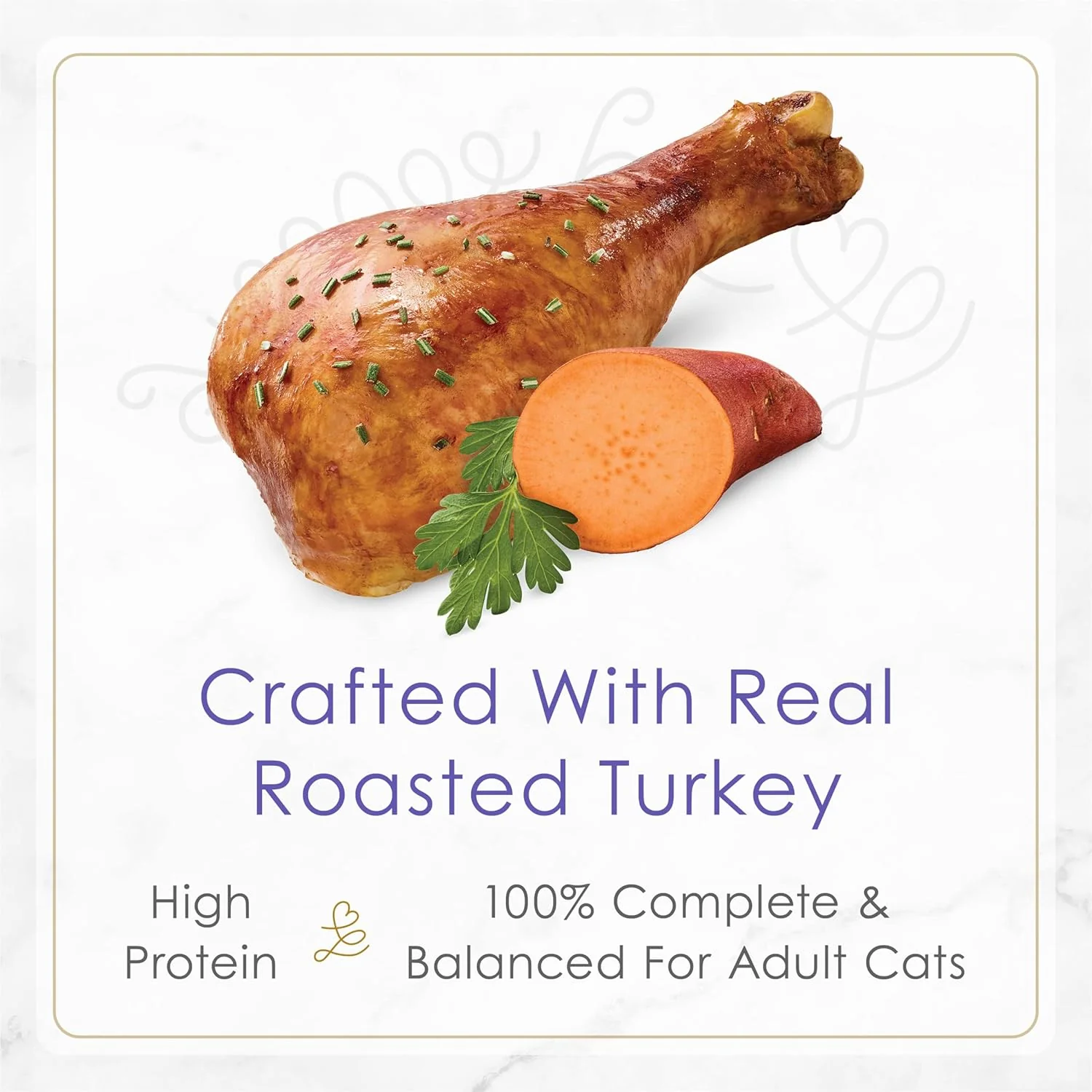 Purina Fancy Feast Gourmet Gravy Wet Cat Food, Petites Turkey & Sweet Potato Entree - (Pack of 12) 2.8 oz. Tubs - Image 5