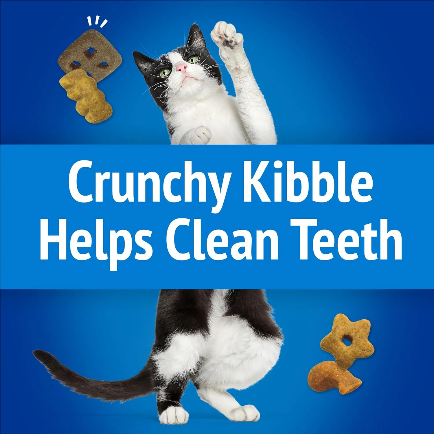 Purina Friskies Cat Treats, Party Mix Beachside Crunch - 30 Ounce (Pack of 1) - Image 4