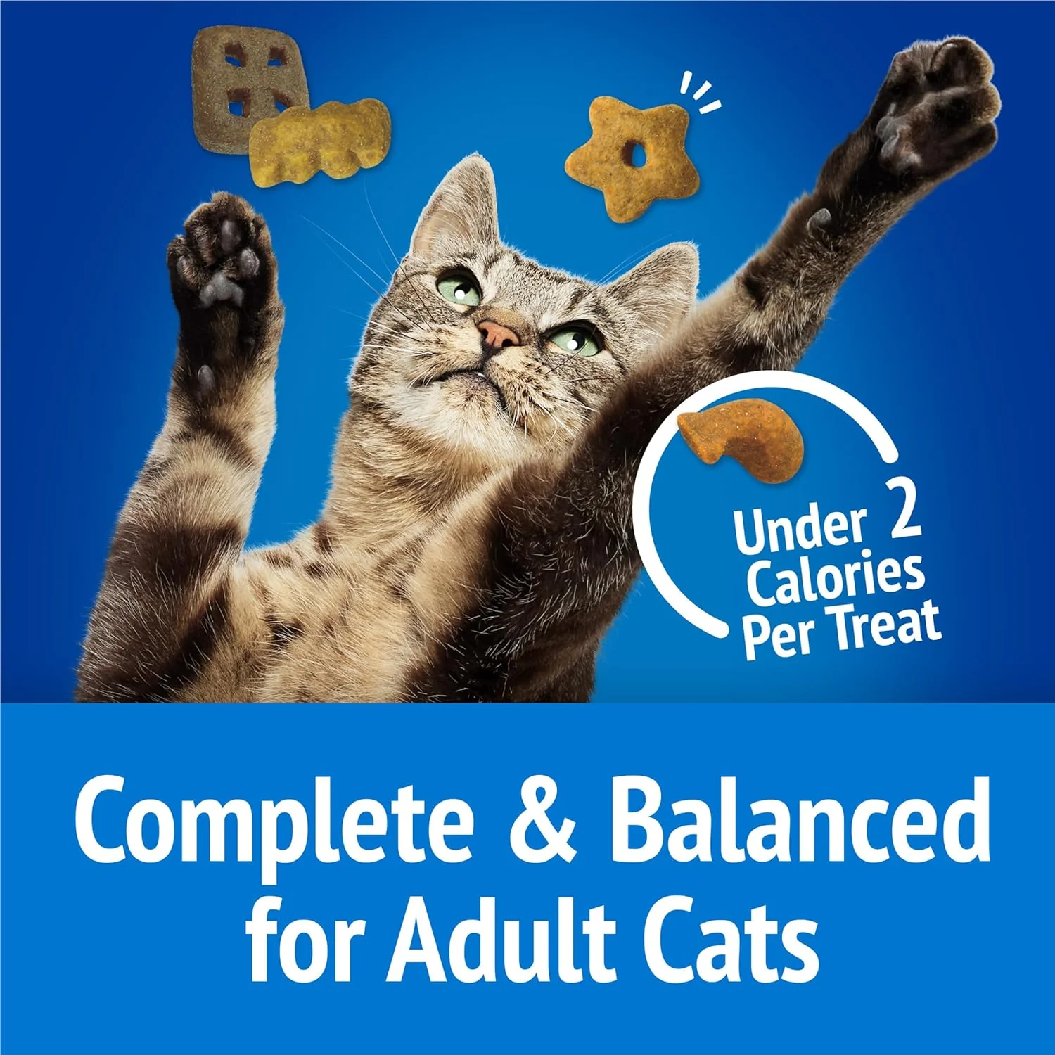 Purina Friskies Cat Treats, Party Mix Beachside Crunch - 30 Ounce (Pack of 1) - Image 7