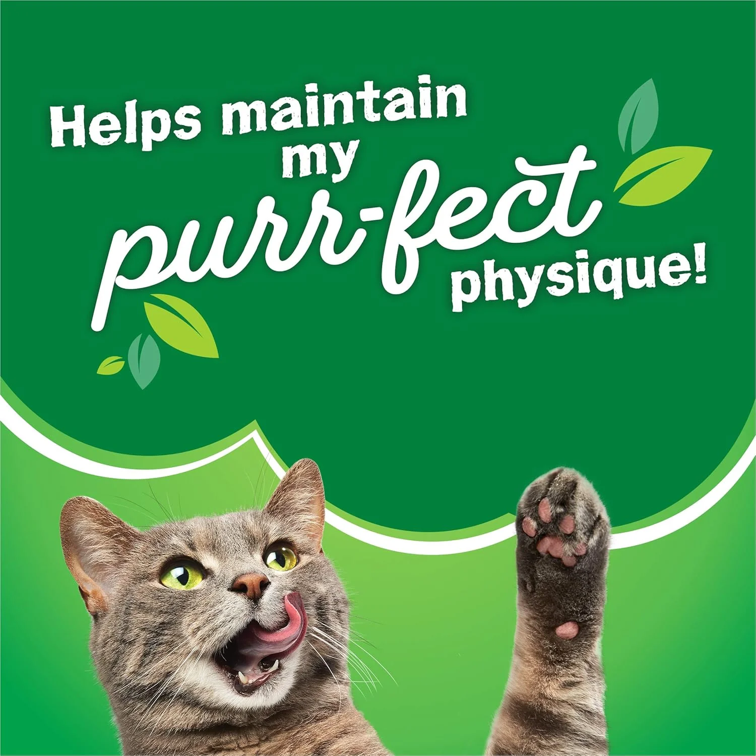 Purina Friskies Dry Cat Food, Seafood Sensations - 3.15 lb. Bags - Image 10