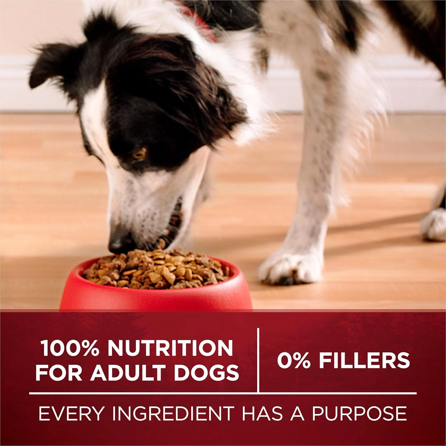 Purina ONE Natural High Protein Dry Dog Food Dry True Instinct with Real Beef and Salmon With Bone Broth and Added Vitamins, Minerals and Nutrients - 27.5 lb. Bag - Image 8