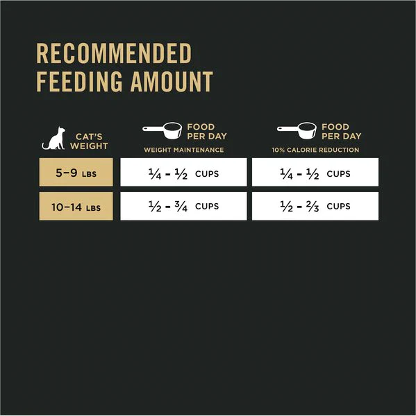 Purina Pro Plan With Probiotics, High Protein Dry Kitten Food, Chicken & Rice Formula - Image 13