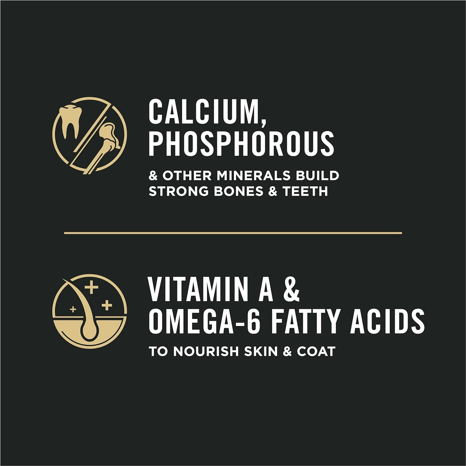 Purina Pro Plan With Probiotics, High Protein Dry Kitten Food, Chicken & Rice Formula - Image 5