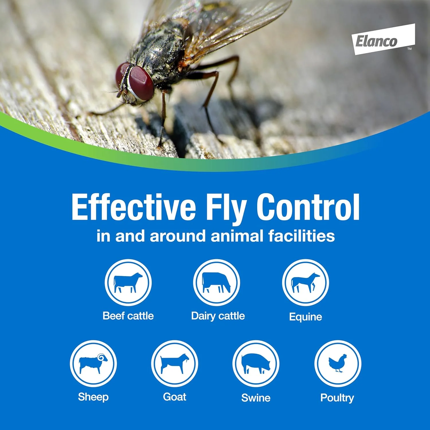 QuickBayt® Fly Bait – Fast-Acting Granular Fly Control for Livestock Facilities - Image 6