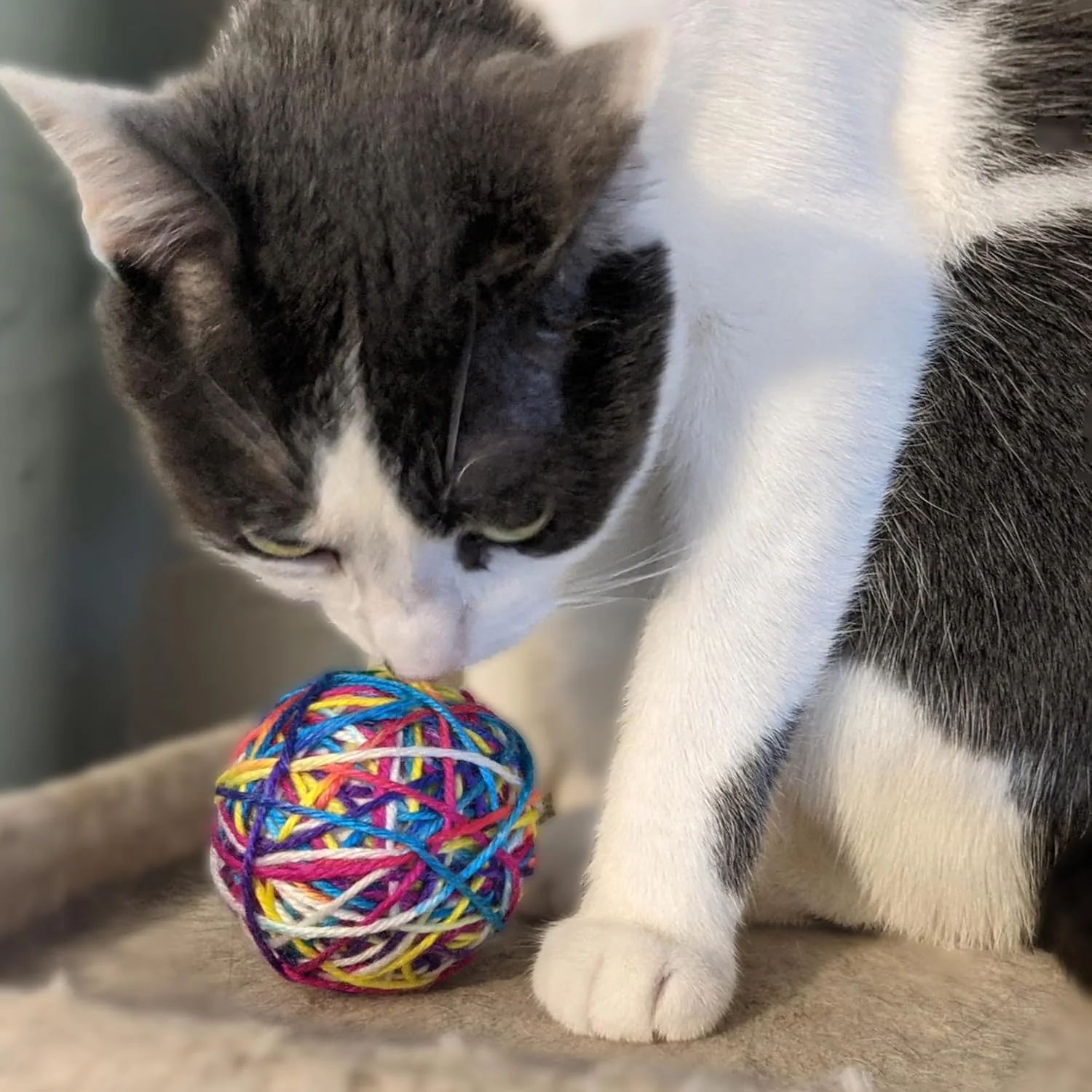 SPOT Ethical Products Sew Much Fun/Yarn Ball Cat Toy / 2.5" / 2Pack, Multicolor - Image 3