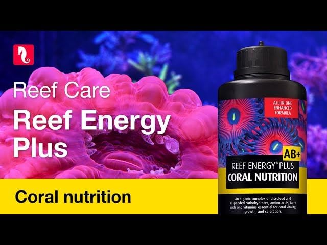 Red Sea Reef Energy Plus (AB+) All In One Coral Food for Saltwater Aquarium Marine Reef Tanks | Food for Soft, LPS, SPS, and Non-Photosynthetic Corals - Image 4