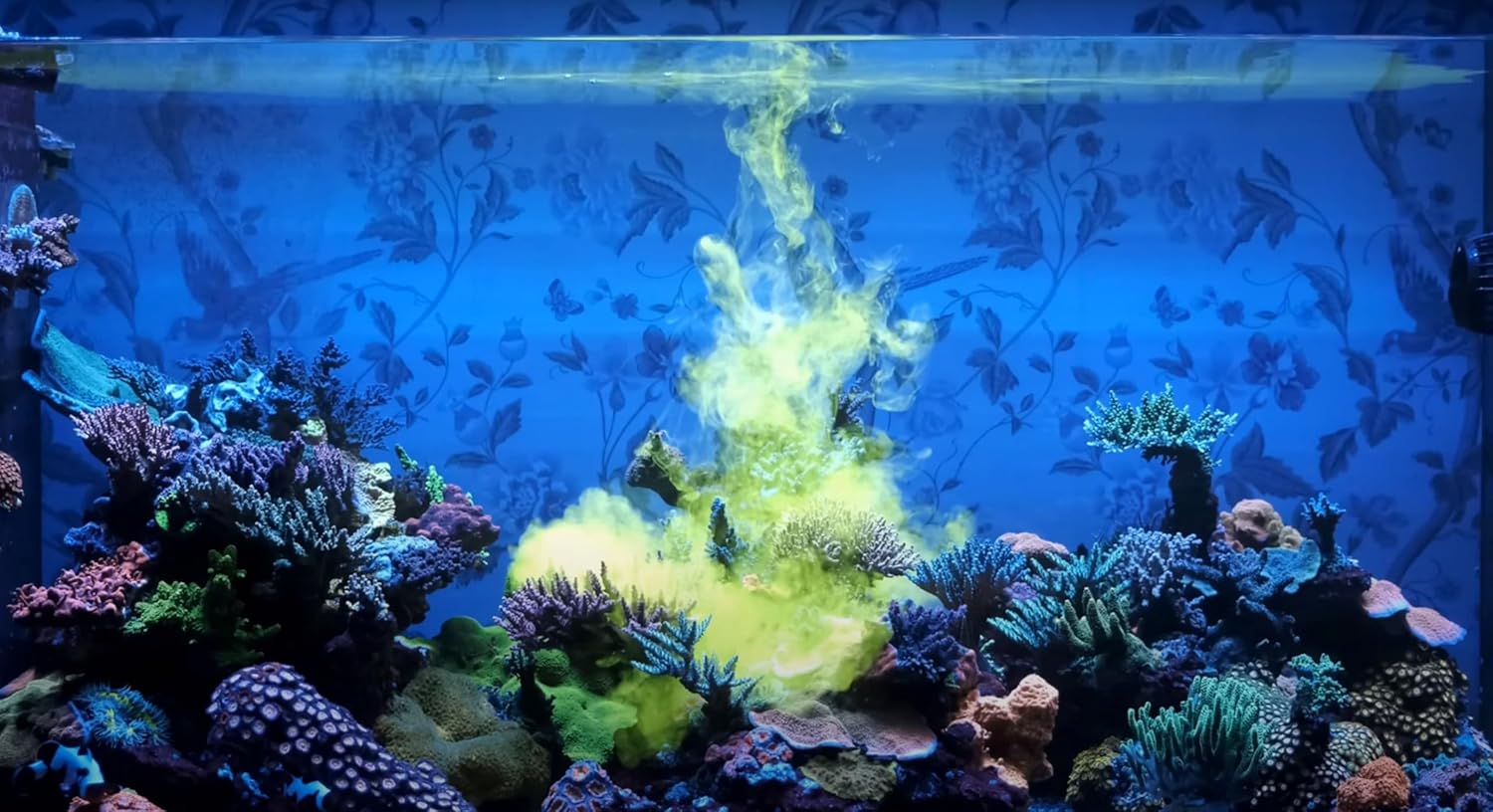 Red Sea Reef Energy Plus (AB+) All In One Coral Food for Saltwater Aquarium Marine Reef Tanks | Food for Soft, LPS, SPS, and Non-Photosynthetic Corals - Image 5