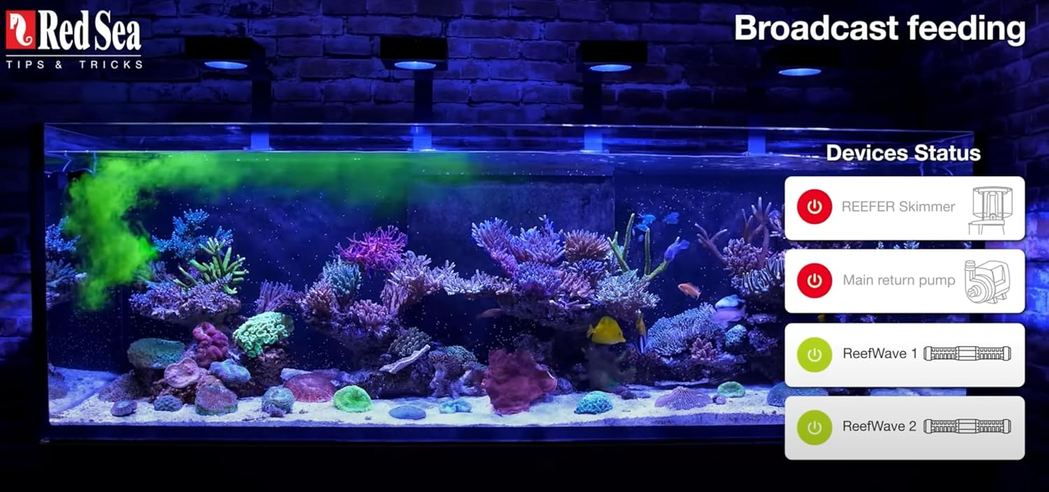 Red Sea Reef Energy Plus (AB+) All In One Coral Food for Saltwater Aquarium Marine Reef Tanks | Food for Soft, LPS, SPS, and Non-Photosynthetic Corals - Image 8