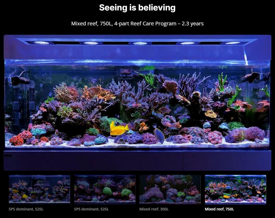 Red Sea Small 4-Part RCP Complete Reef Care Supplement Dosing System for Saltwater Mixed Reef Marine Aquariums for Optimal Coral Growth - Image 2