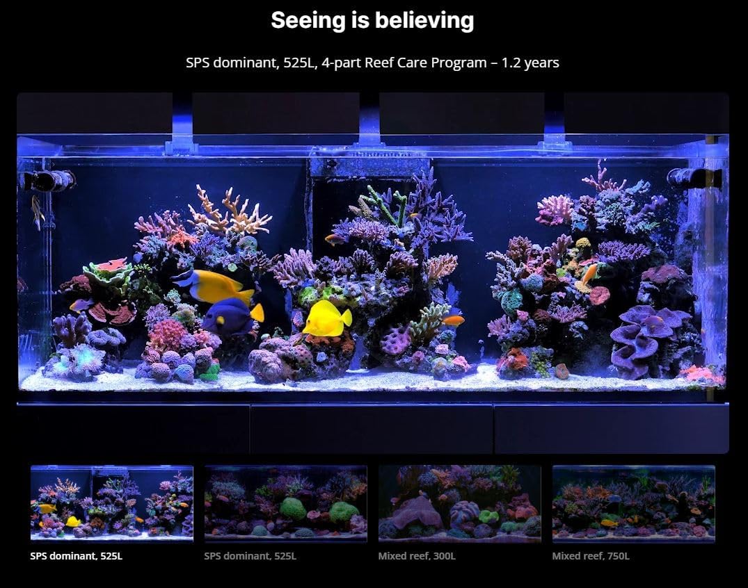 Red Sea Small 4-Part RCP Complete Reef Care Supplement Dosing System for Saltwater Mixed Reef Marine Aquariums for Optimal Coral Growth - Image 8