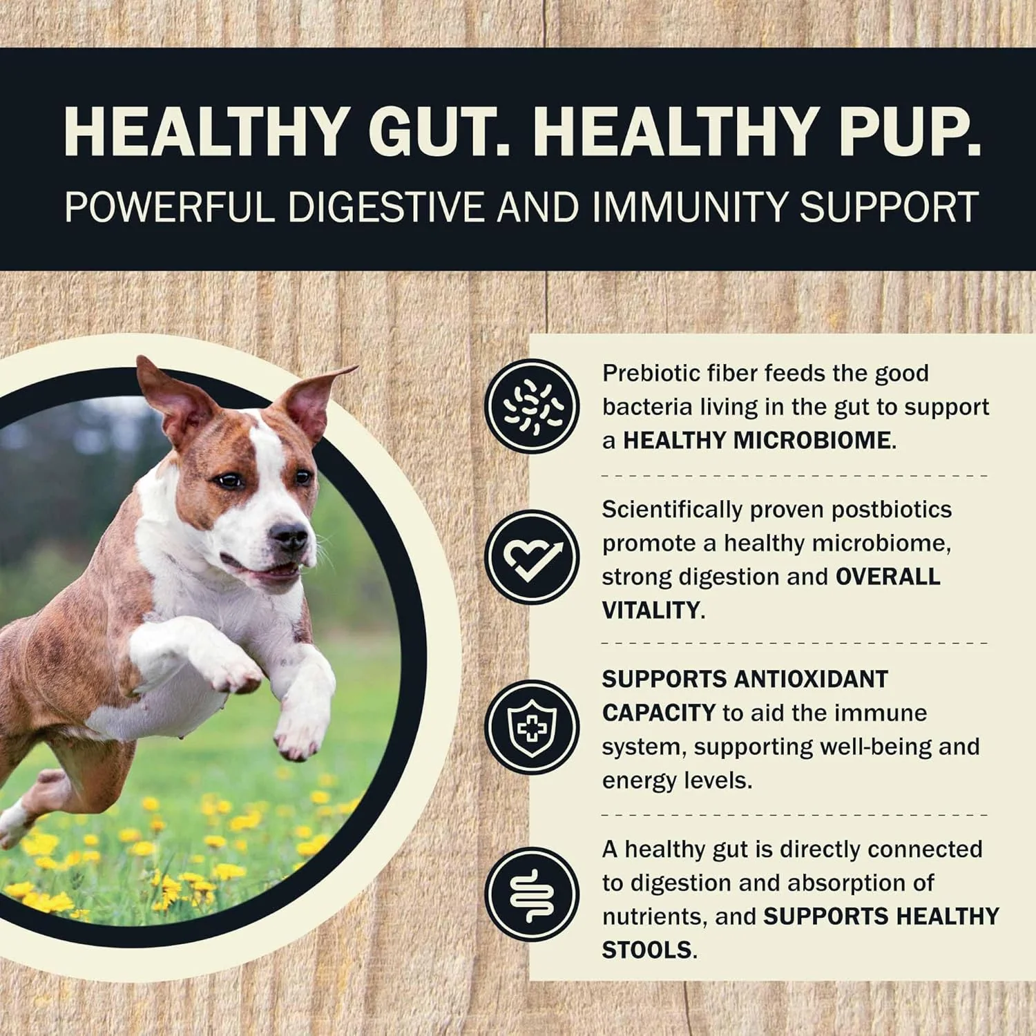 Redbarn® Beef & Lamb Gut Health 2 lbs - Image 2