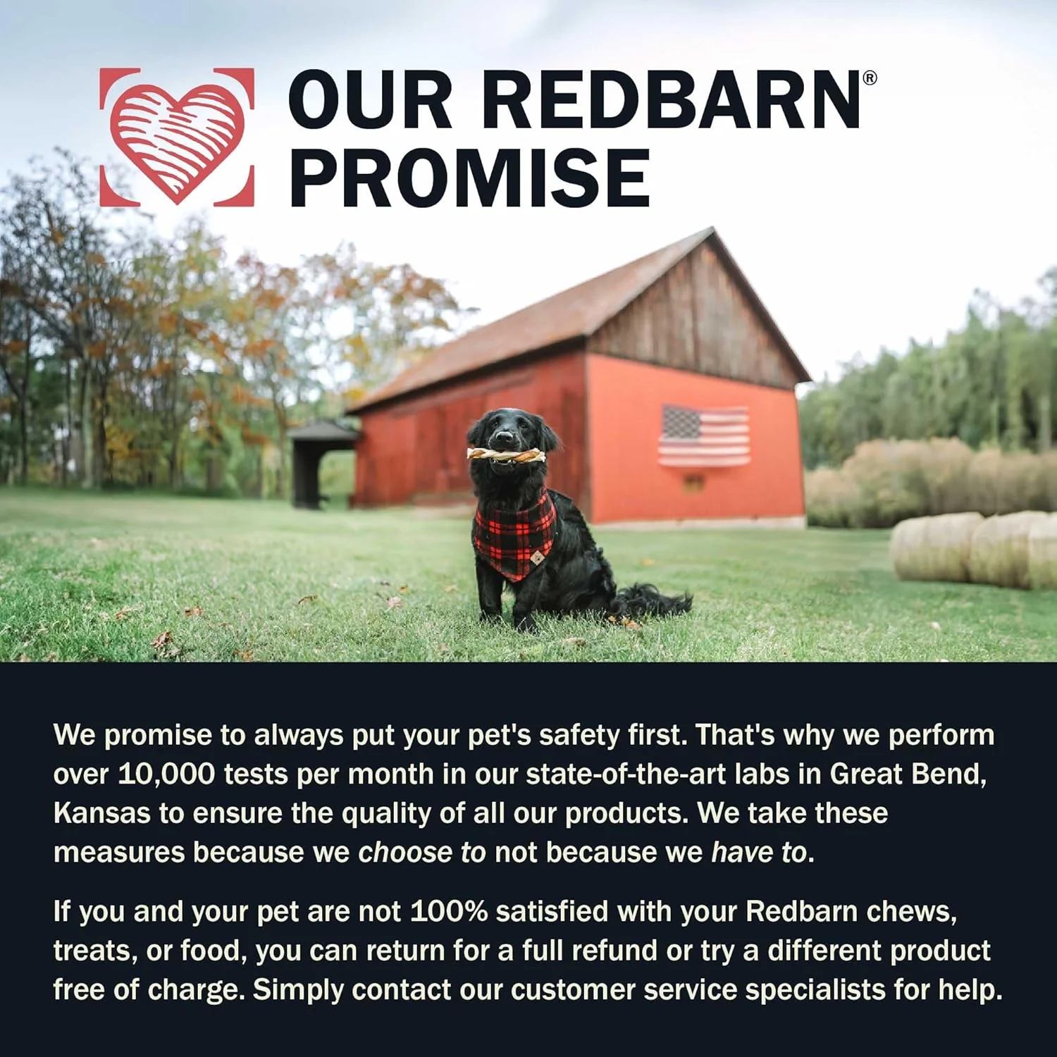 Redbarn® Beef & Lamb Gut Health 2 lbs - Image 8