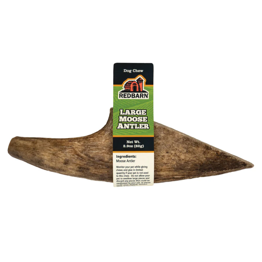 Redbarn Moose Antler - Image 2
