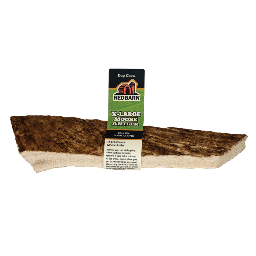 Redbarn Moose Antler - Image 3
