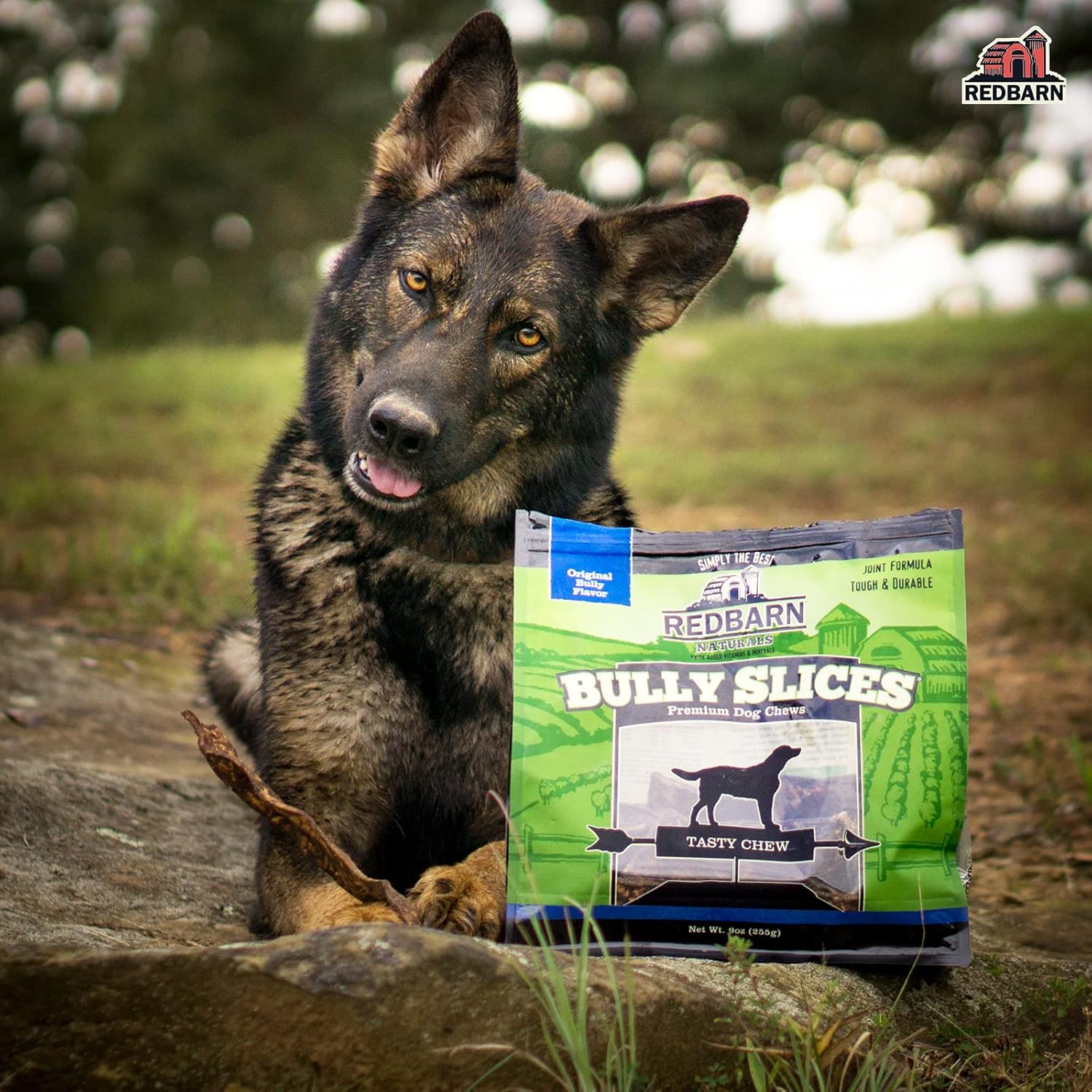 Redbarn Bully Slices for Dogs, Highly Palatable, Long-Lasting Natural Dental Treats with Functional Ingredients - Peanut Butter - Image 4
