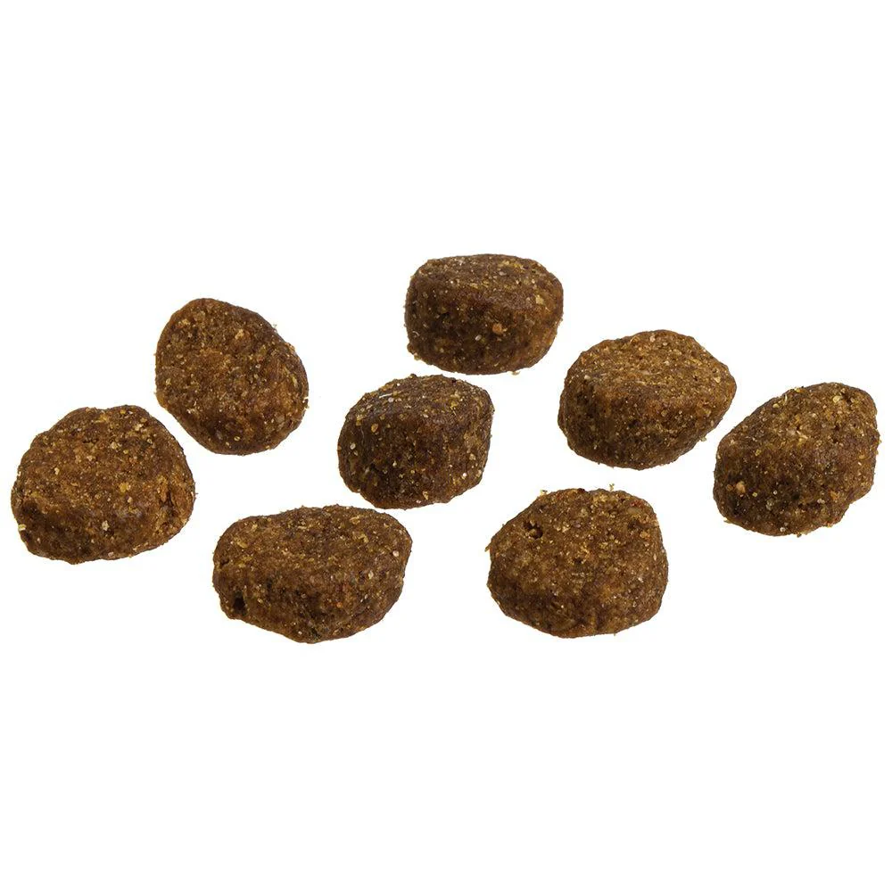 Redbarn Pet Products Grain-Free Ocean Recipe Dog Food - Image 4