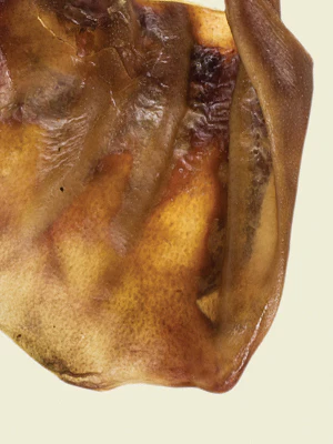 Redbarn Pet Products Pig Ear Dog Chew - Image 2