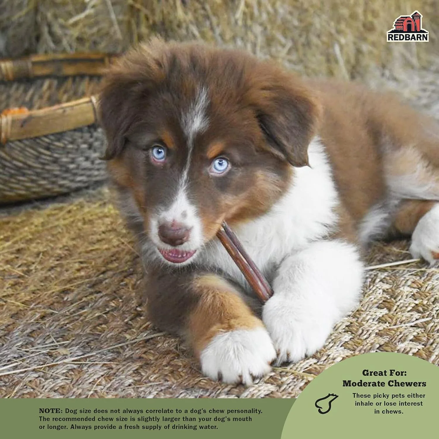 Redbarn Straight Bully Sticks - Long Lasting Dog Chew, All Natural & Odorless Bully Bones - Image 3