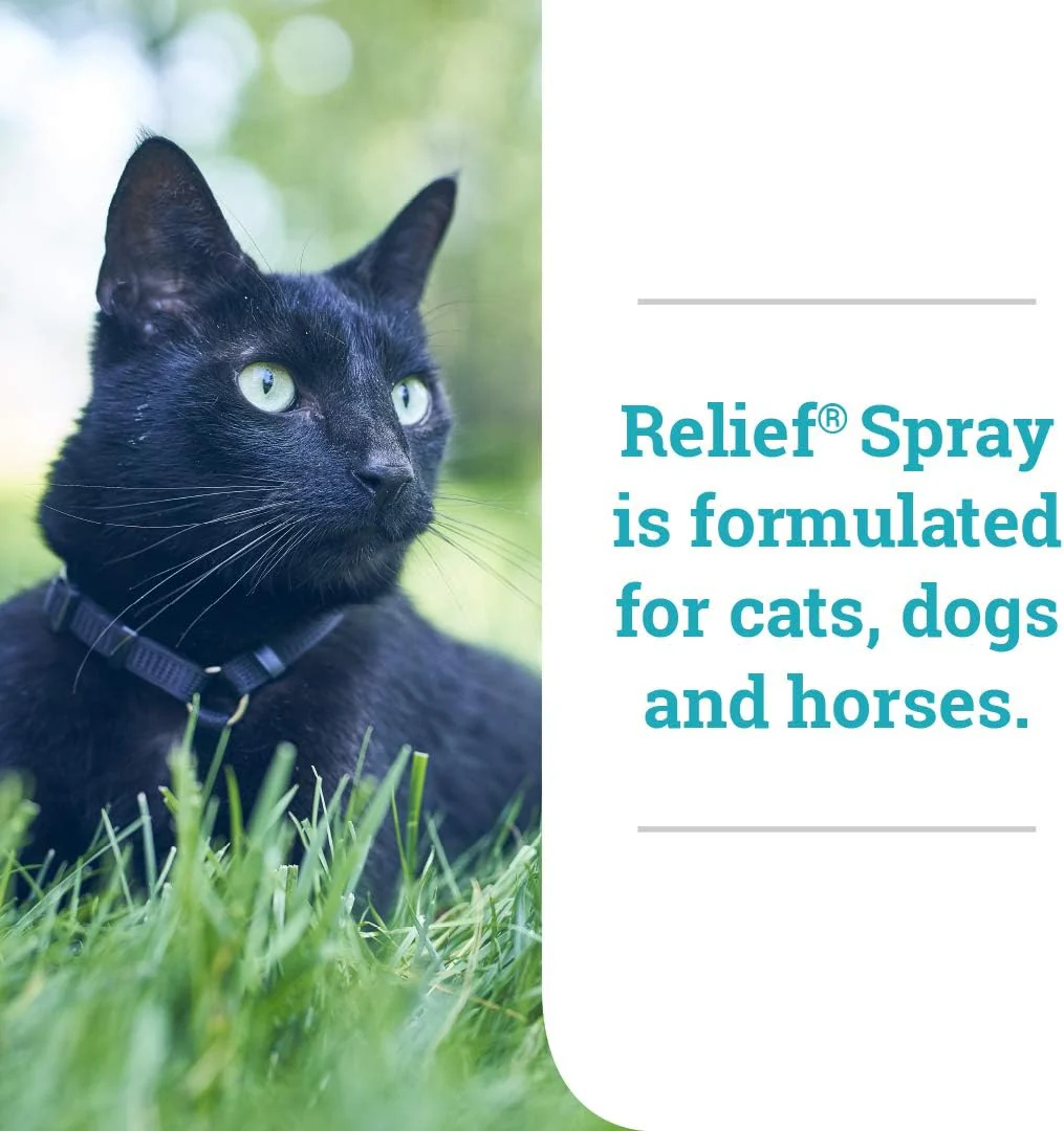 Relief Spray, temporary relief of itching and flaking, for dogs, cats and horses, 8 oz - Image 5