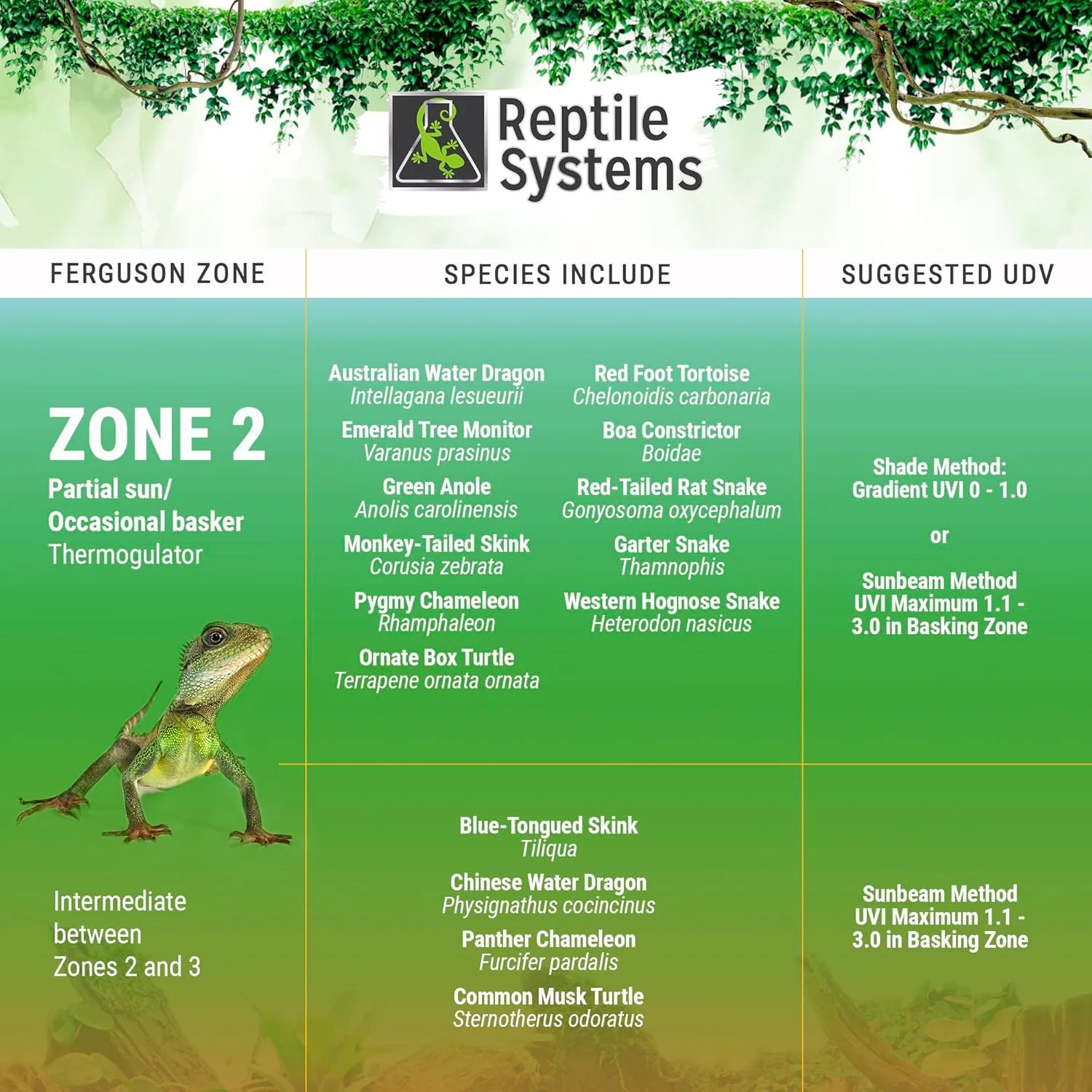 Reptile Systems - Eco T5 High Output Lighting Kit - Dual Reflector Fixture & Ferguson Zone 2 Lamp 6% - Full Spectrum UVA & UVB Amphibian & Reptile Lighting - Image 4