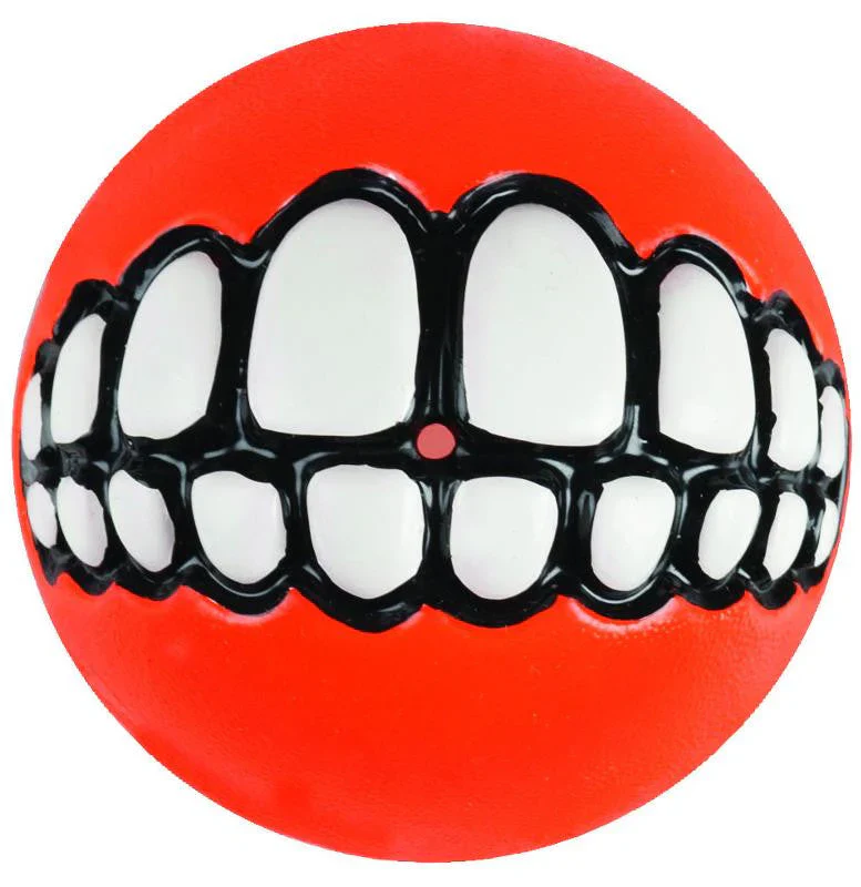 Rogz Dog Chew and Fetch Ball