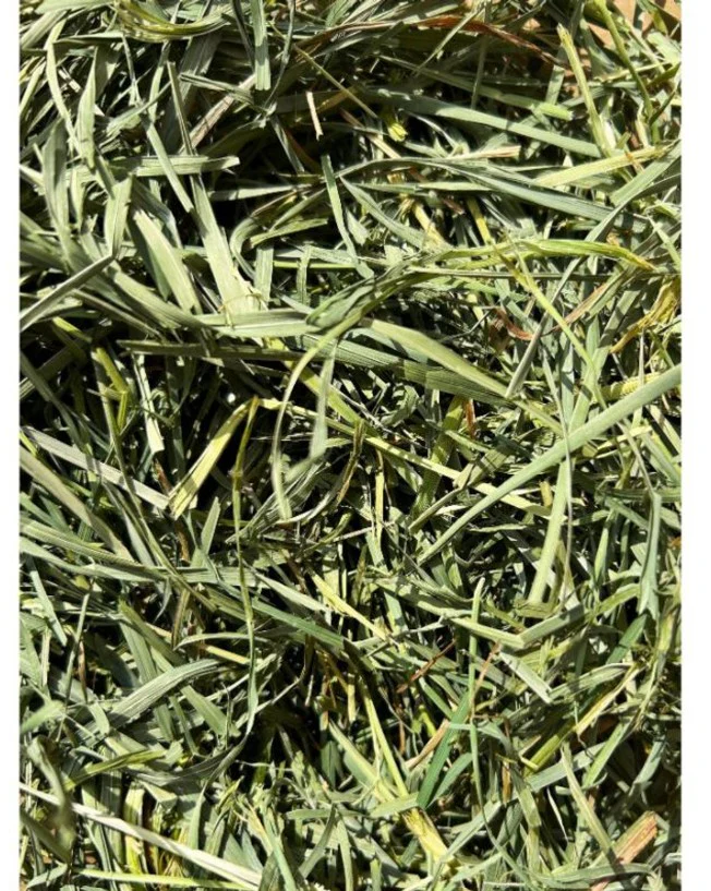 Round Lake Farm Orchard Grass Hay 18 oz - Image 3