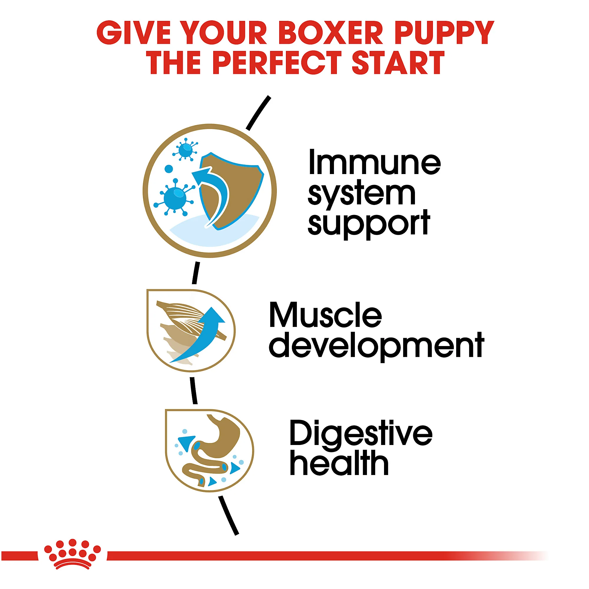 Royal Canin Boxer Puppy Breed Specific Dry Dog Food - Image 6