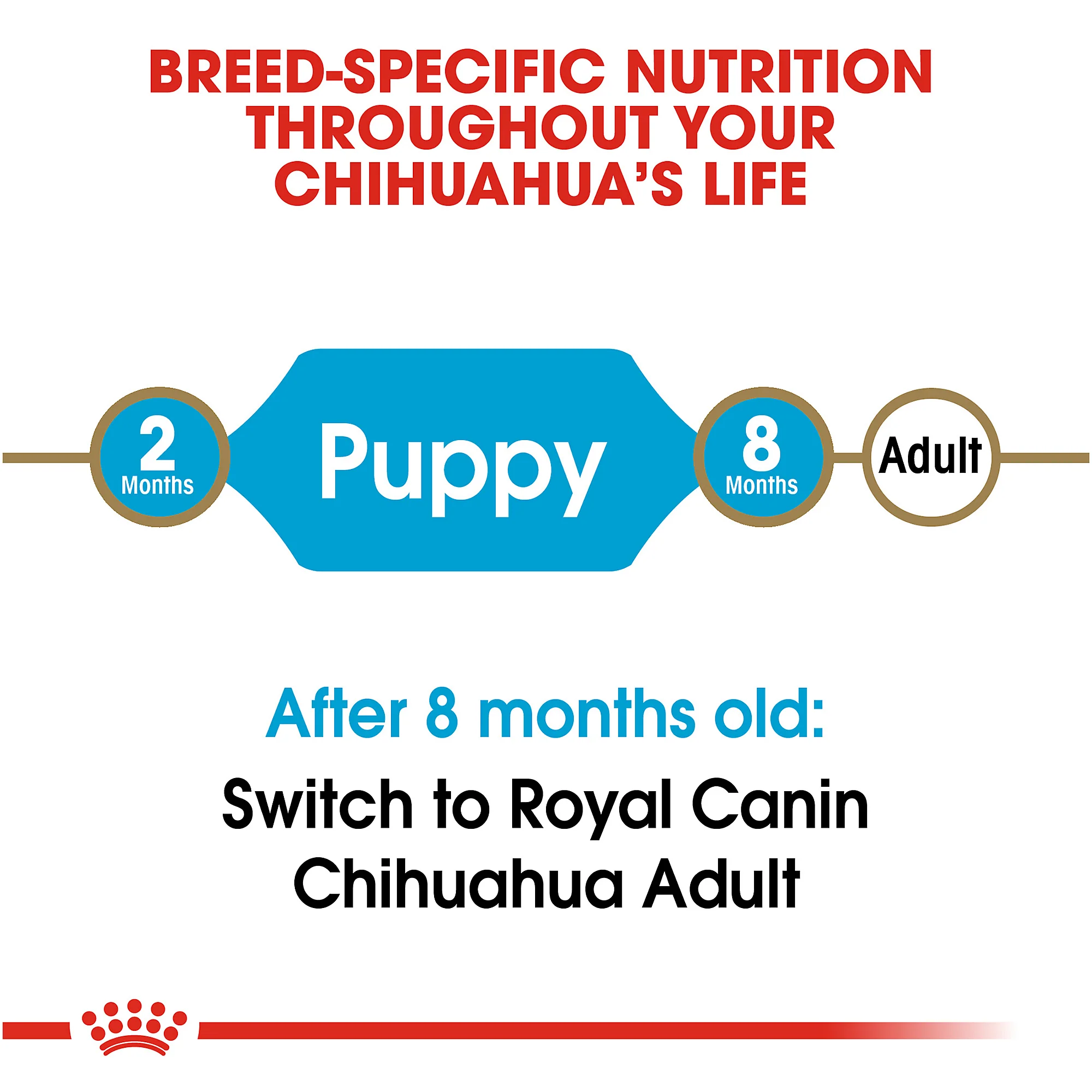 Royal Canin Chihuahua Puppy Dry Dog Food - Image 7