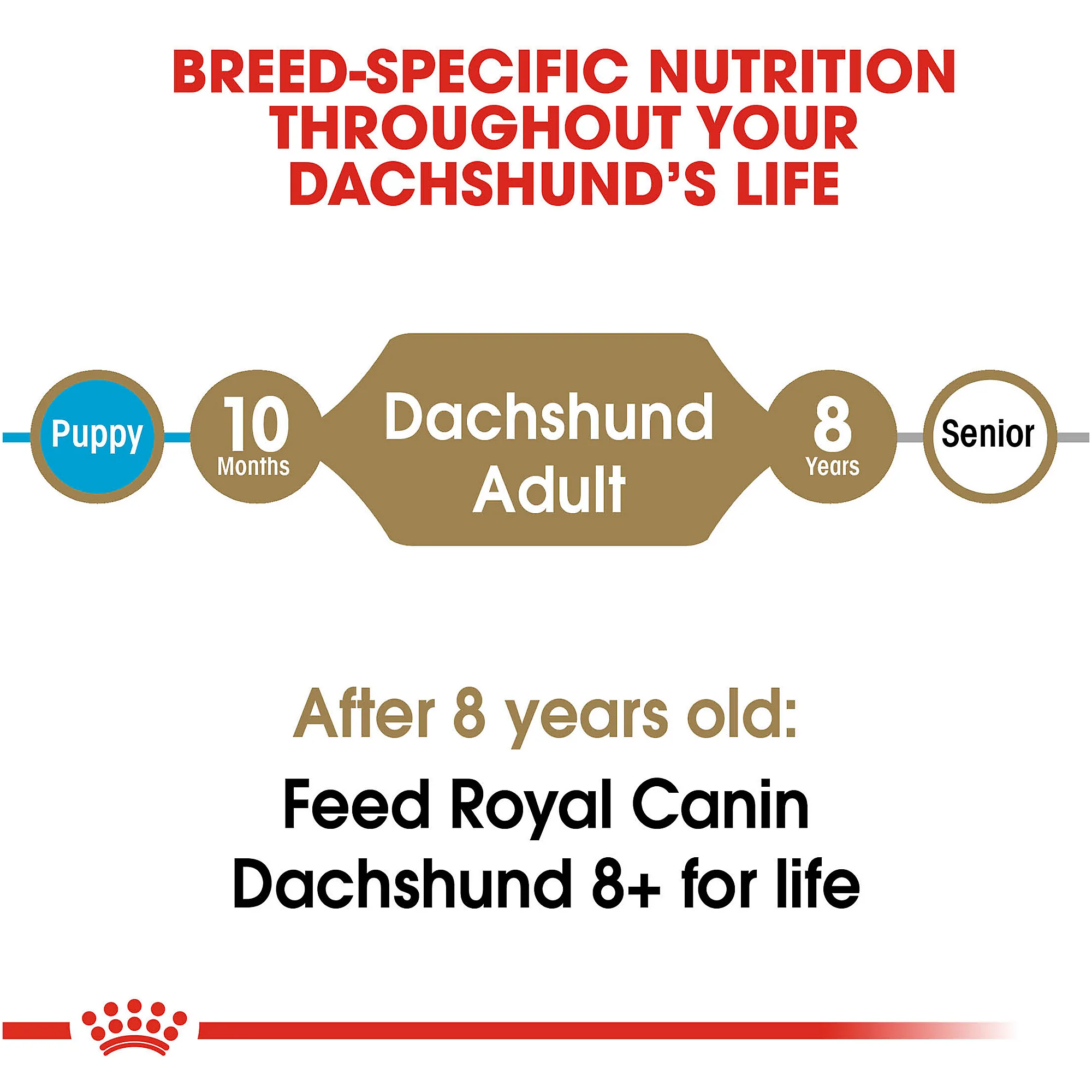 Royal Canin Dachshund Adult Breed Specific Dry Dog Food - Image 7