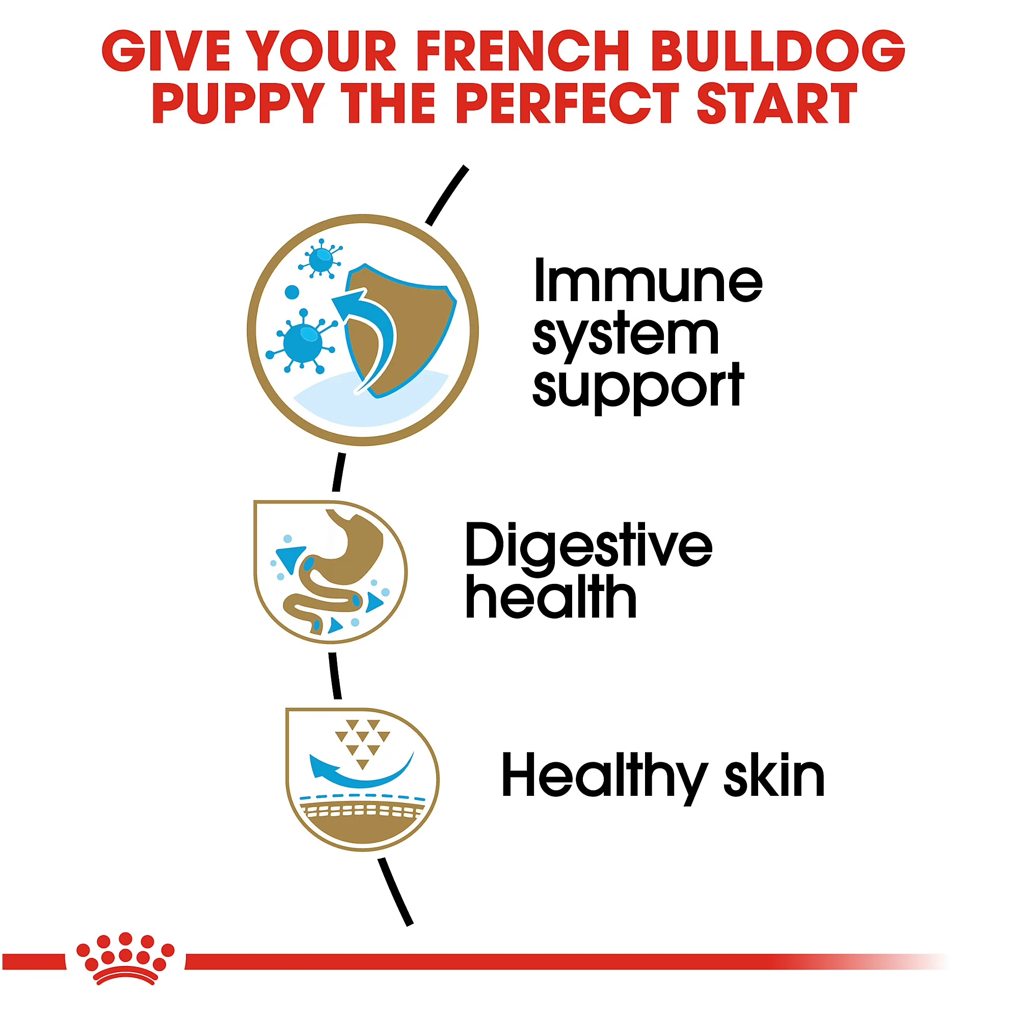 Royal Canin French Bulldog Puppy Dry Dog Food - Image 6