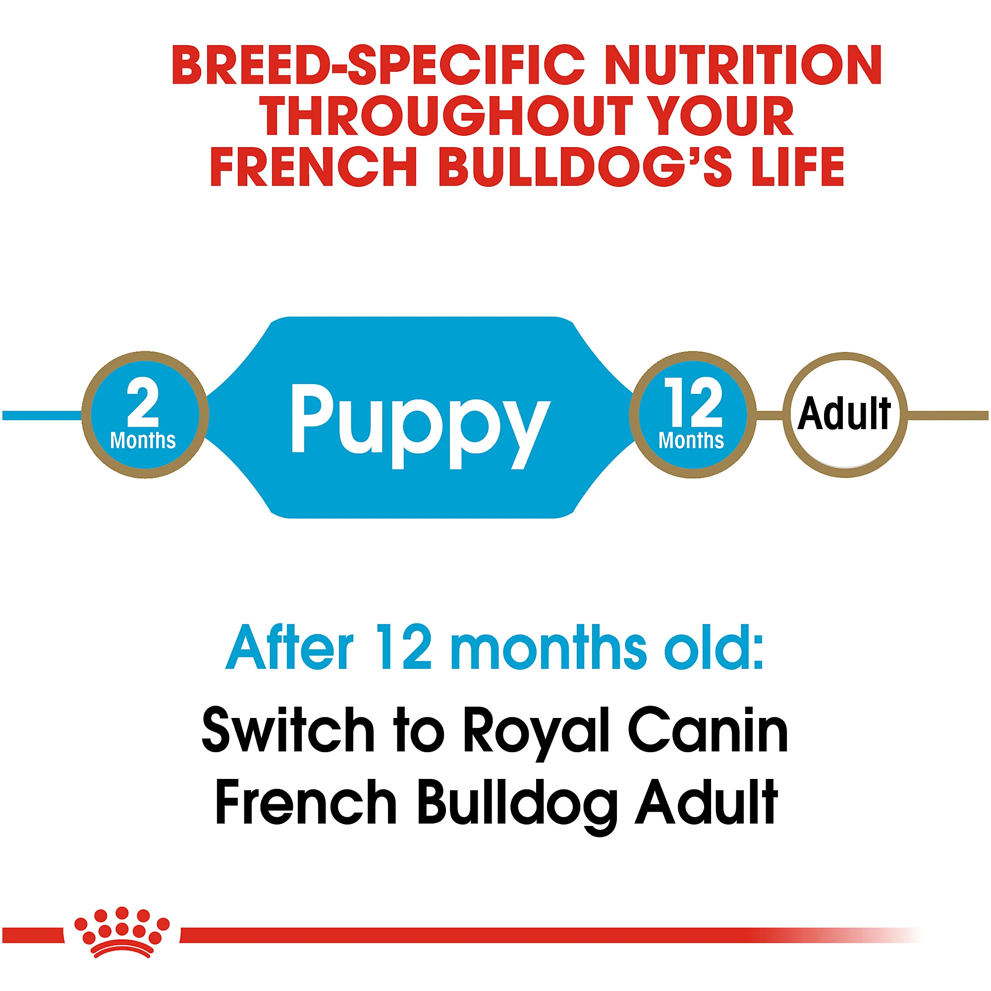 Royal Canin French Bulldog Puppy Dry Dog Food - Image 7