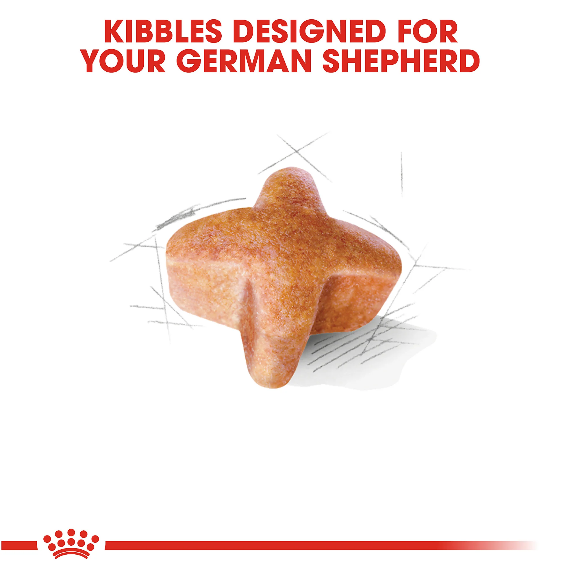 Royal Canin German Shepherd Adult Dry Dog Food - Image 5