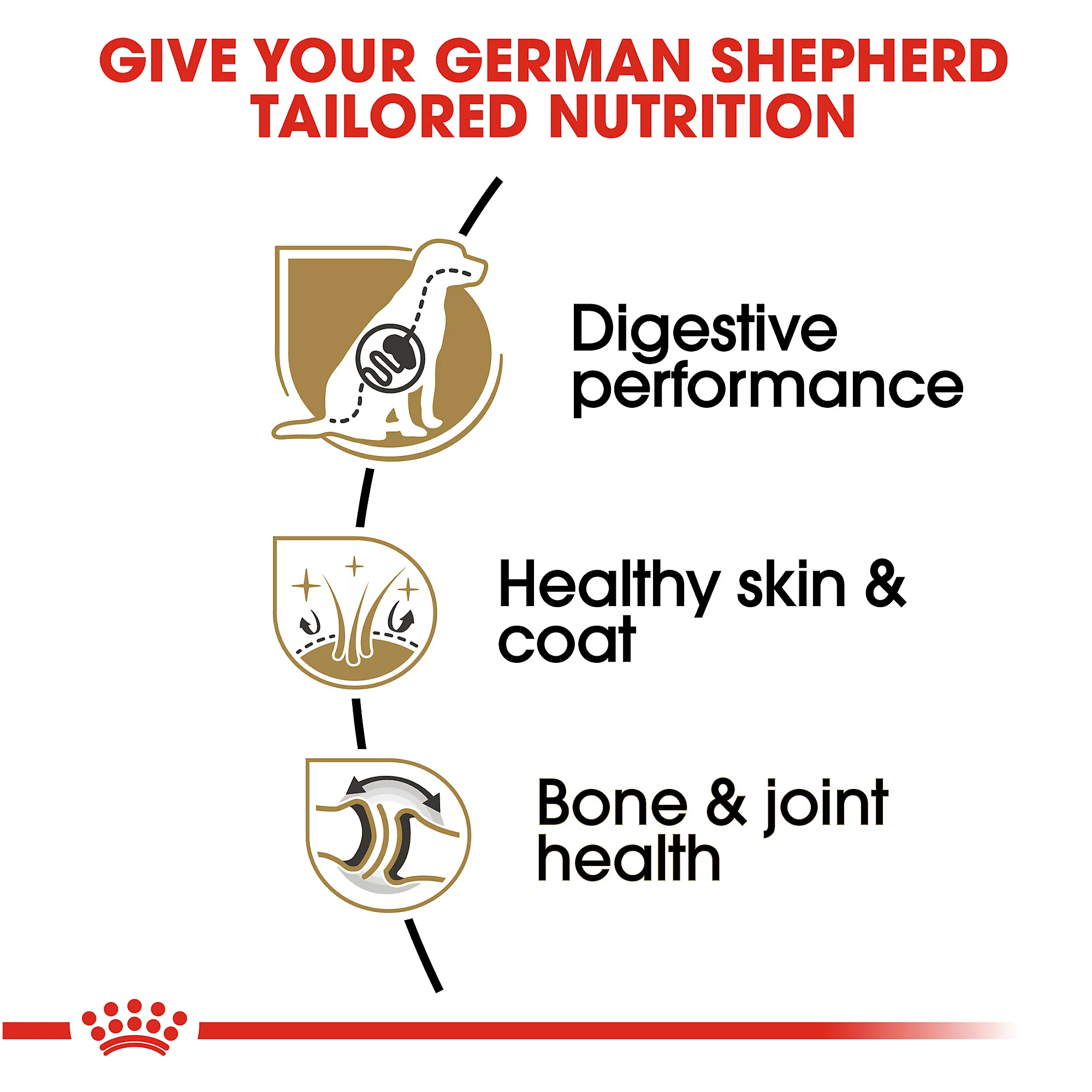 Royal Canin German Shepherd Adult Dry Dog Food - Image 6