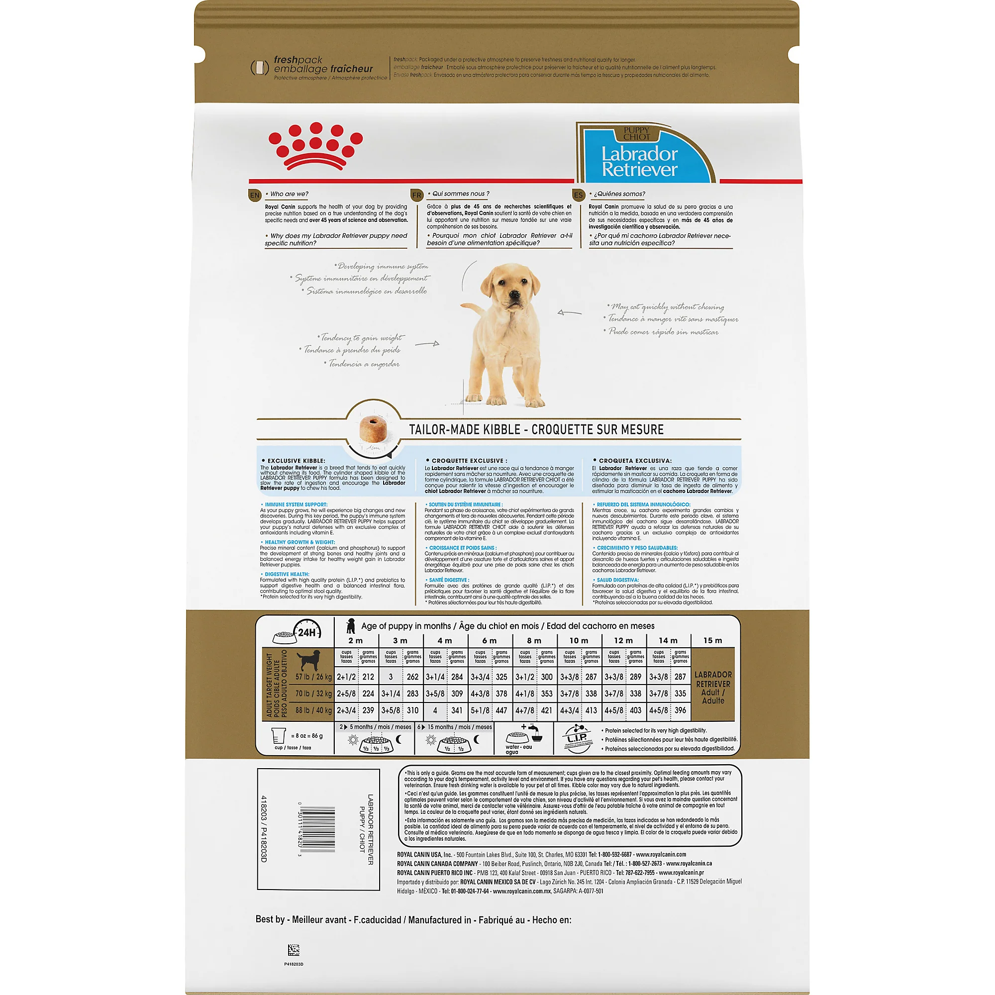 Royal Canin Breed Health Nutrition Labrador Retriever Puppy Dry Dog Food - Image 3