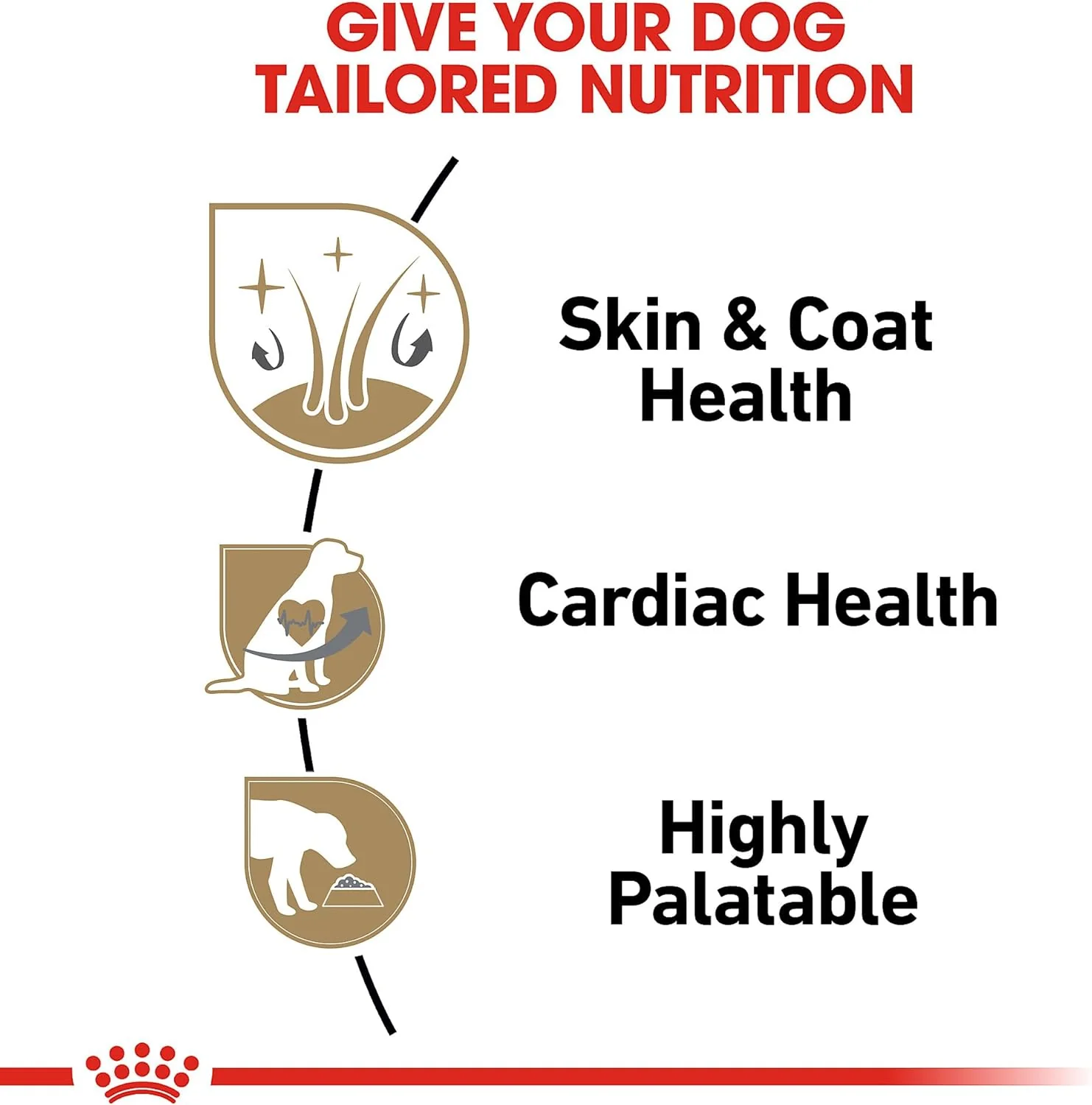 Royal Canin Shih Tzu Adult Breed Specific Wet Dog Food - Image 6