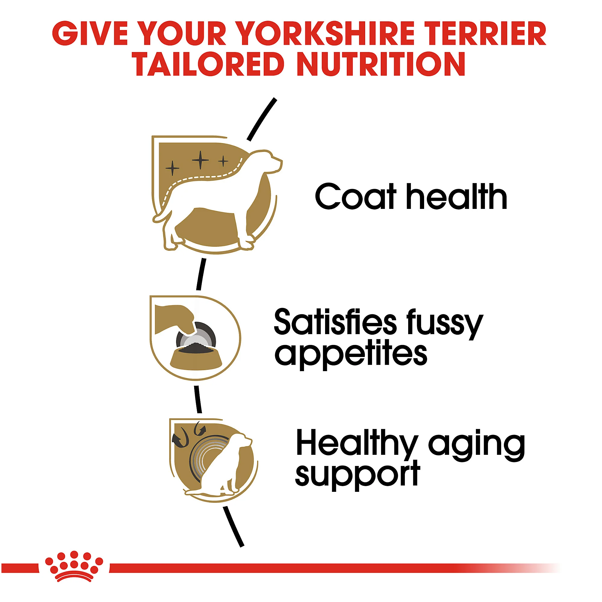 Royal Canin Yorkshire Terrier Adult Dry Dog Food - Image 6